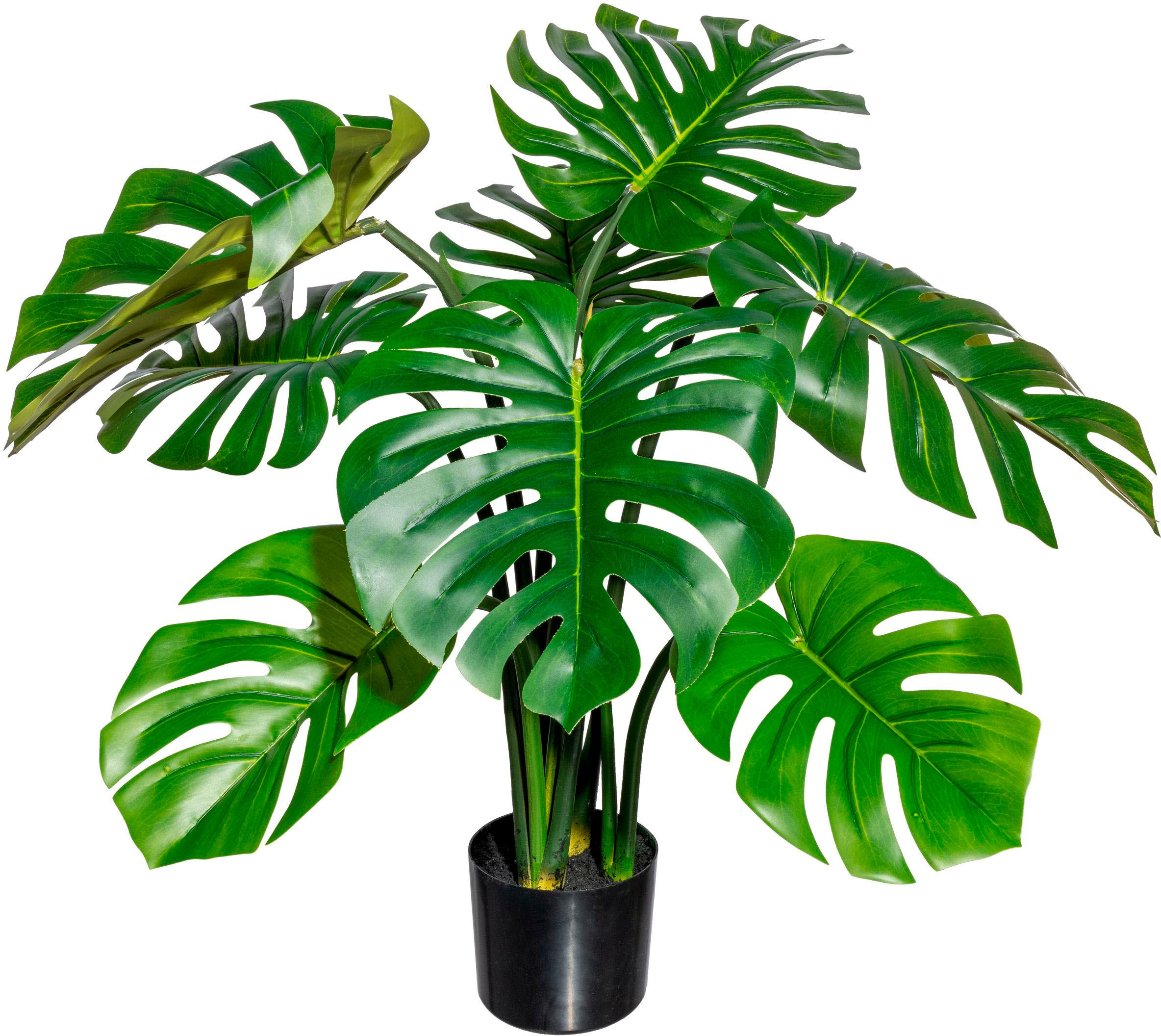 Creativ green Kunstbaum »Splitphilodendron« günstig online kaufen