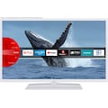 JVC LED-Fernseher »LT-32VF5155W«, 80 cm/32 Zoll, Full HD, Smart TV, HDR, Triple-Tuner, 6 Monate HD+ inklusive