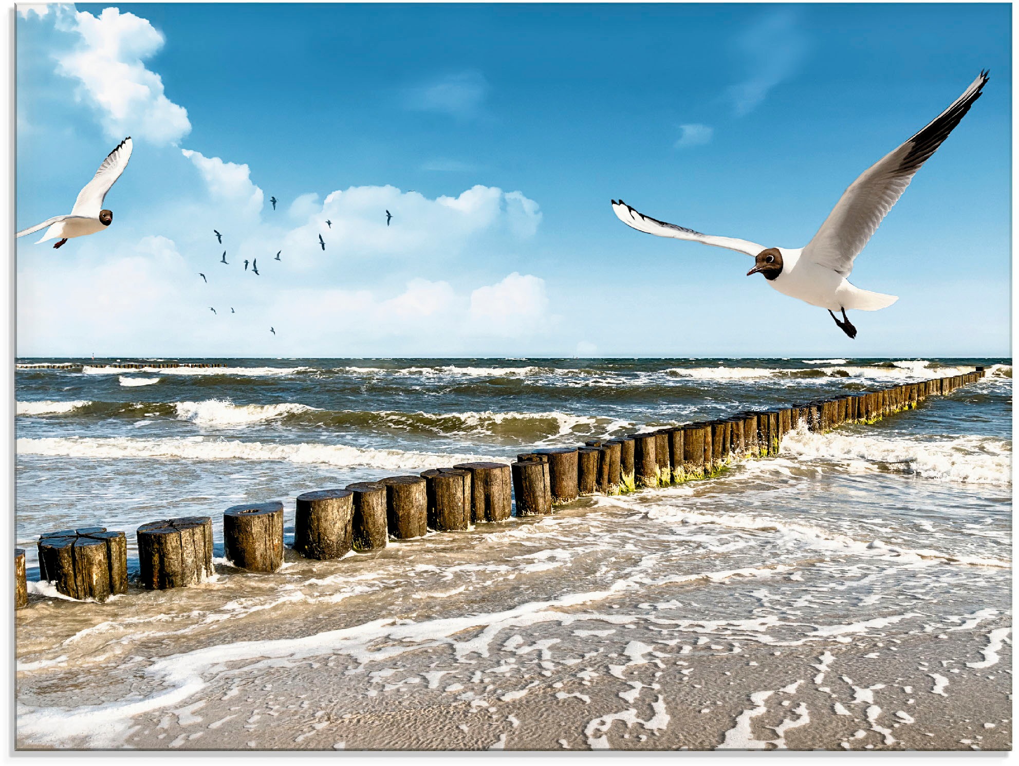 Artland Glasbild "Ostsee", Gewässer, (1 St.), in verschiedenen Größen günstig online kaufen