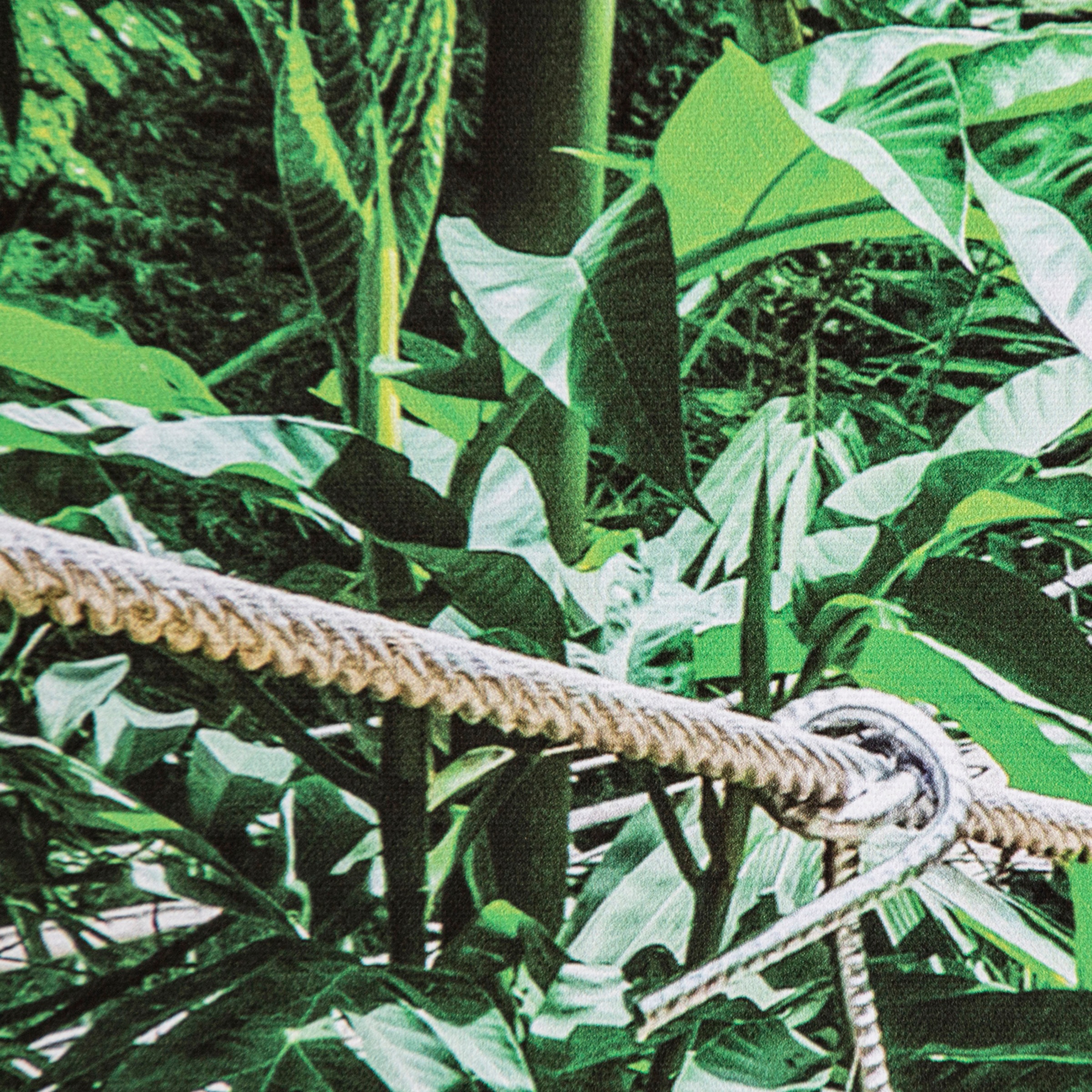 Art for the home Leinwandbild »Classique Jungle«, Pflanzen, 100x75cm
