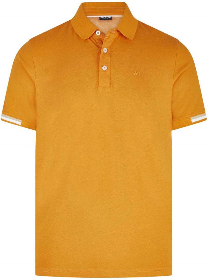 HECHTER PARIS Poloshirt, mit farblichen Highlights an den Ärmeln bestellen