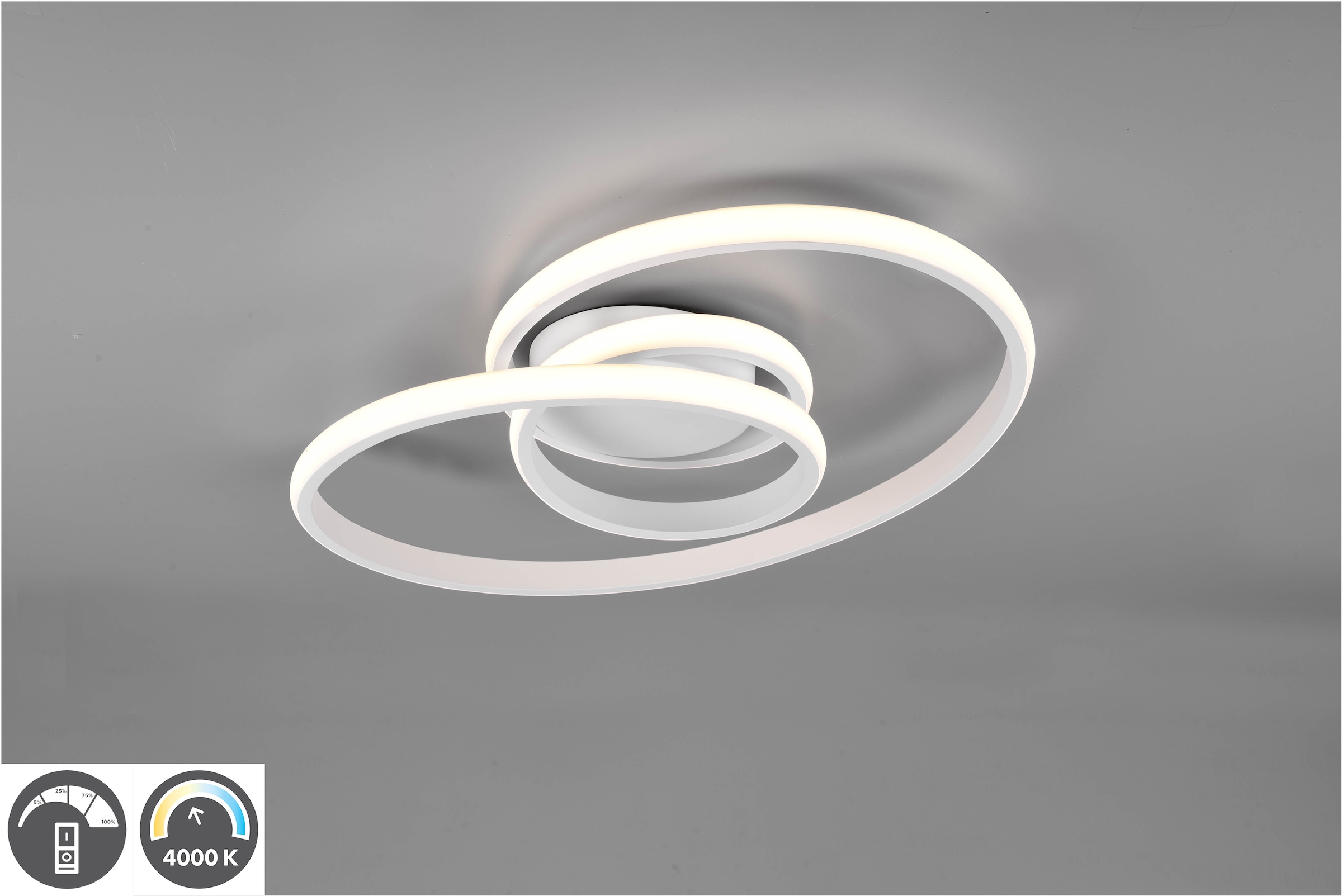 REALITY Leuchten LED Deckenleuchte »SANSA«, 1 flammig, Leuchtmittel LED-Mod günstig online kaufen