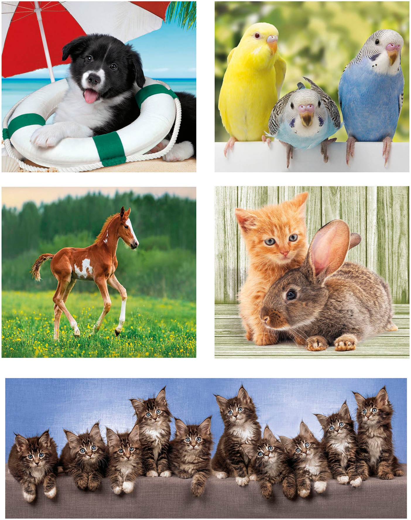 Clementoni® Puzzle »10in1 Supercolor, Noli, Tierfreunde«, Made in Europe