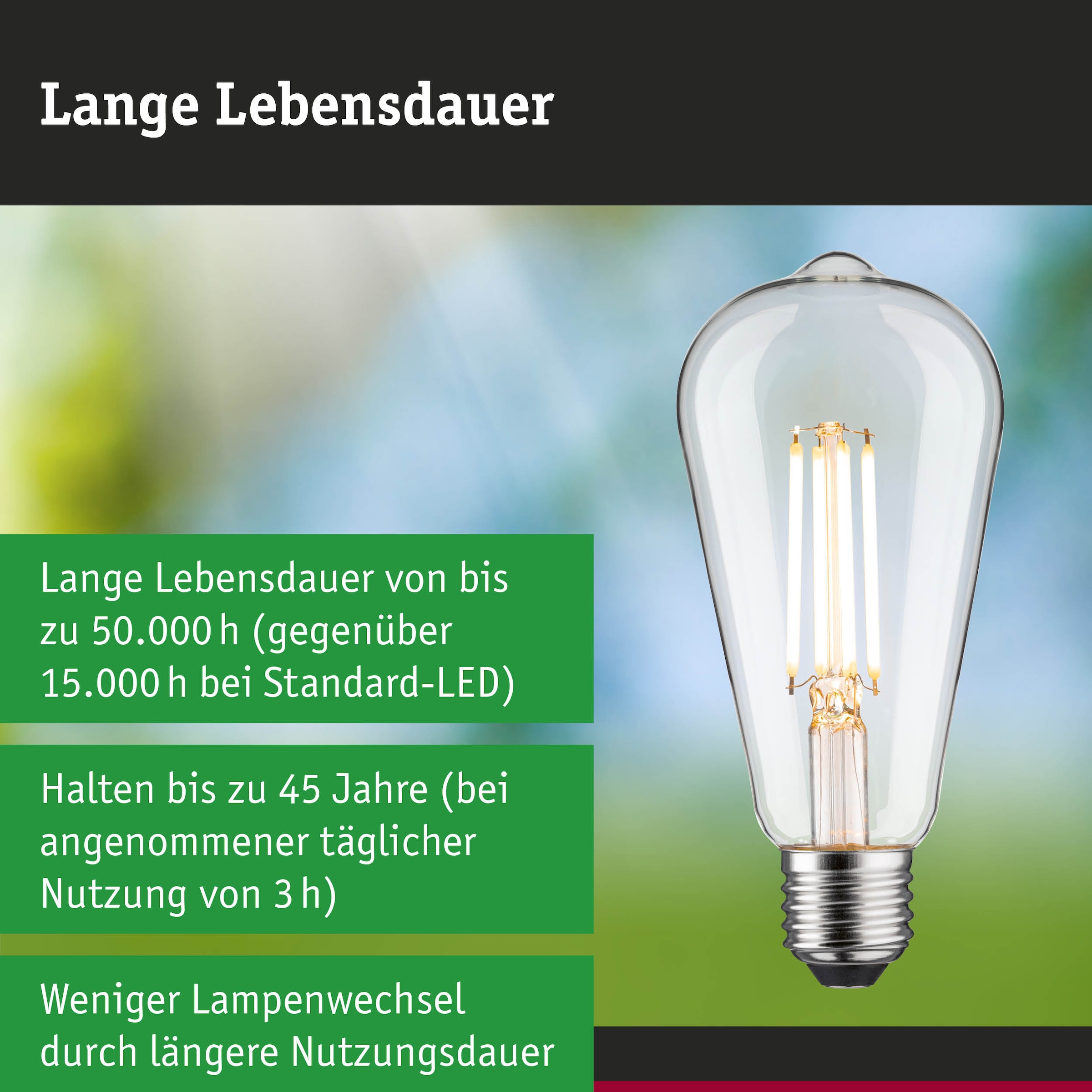 Paulmann LED-Leuchtmittel »Efficient-Line ST64 806lm 4,3W 3000K klar 230V« E27 1 Stk. Warmweiß