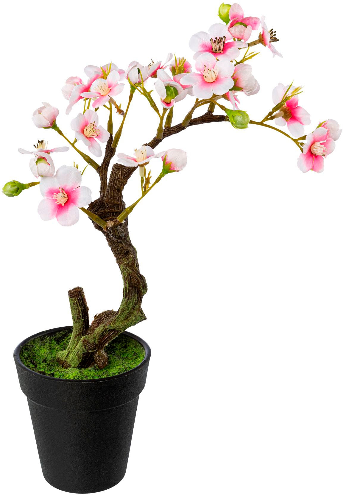Creativ green Kunstblume »Mandelbonsai im Topf«