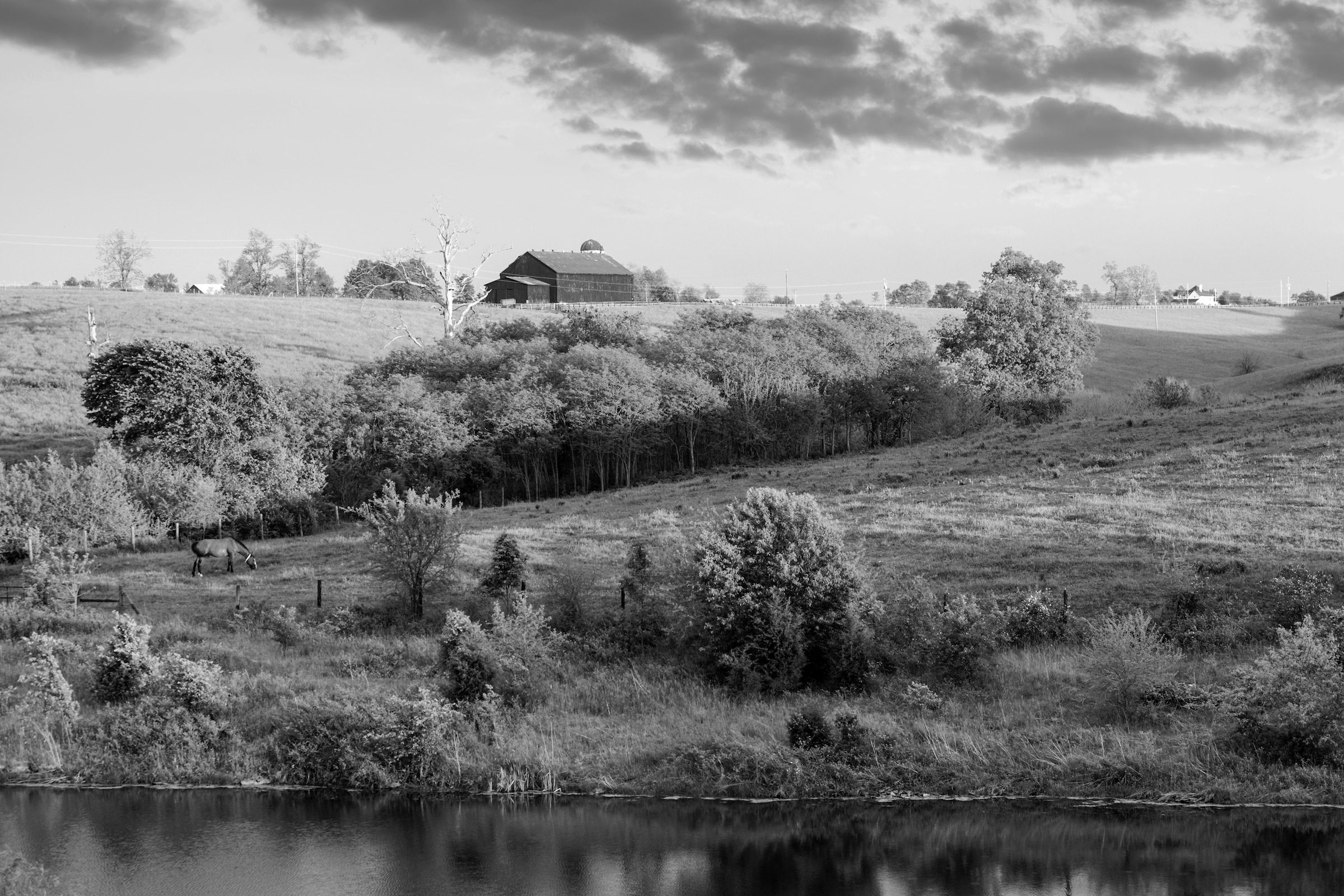 Papermoon Fototapete »Landschaft Schwarz & Weiß« günstig online kaufen