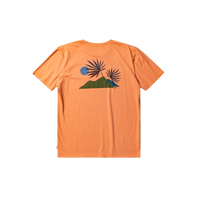 Quiksilver T-Shirt »New Tribe« bestellen