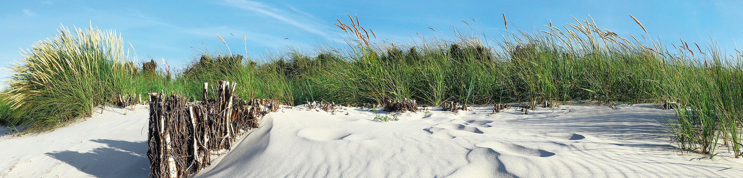 EXPRESS KÜCHEN Küchenrückwand »Strand« bunt