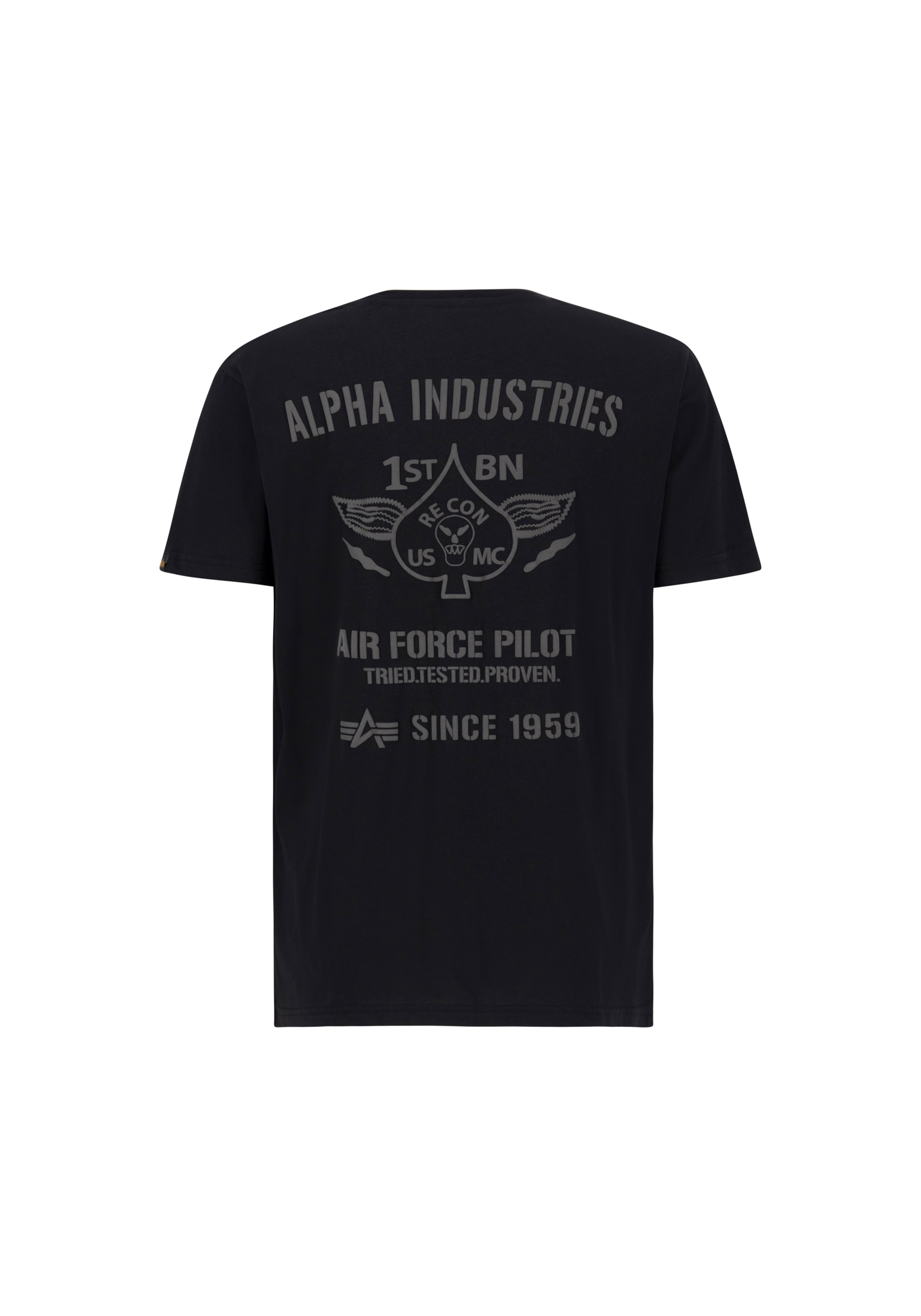 Alpha Industries T-Shirt »Alpha Industries Men - T-Shirts Air Force Pilot T«