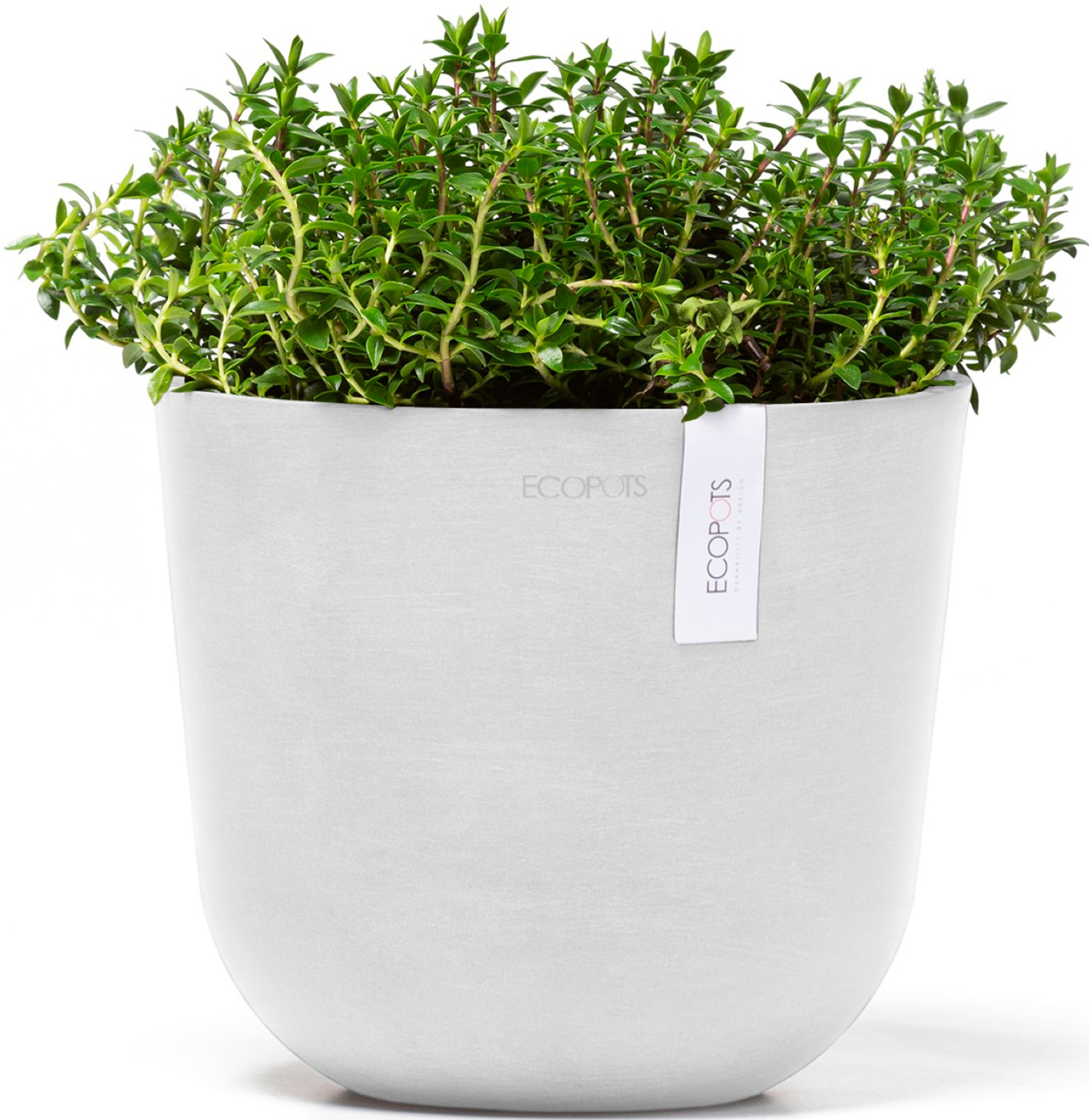 ECOPOTS Blumentopf »Oslo Mini 19 Weiß«, für den Innenbereich