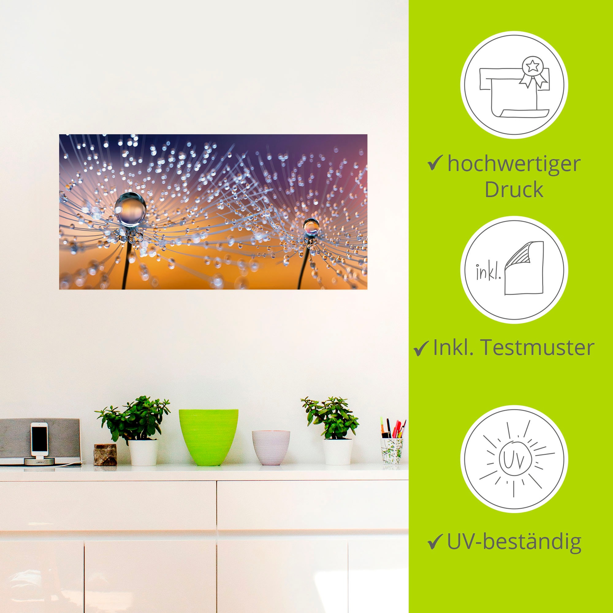 Artland Wandbild »Pusteblumen Tautropfen«, Blumenbilder, (1 St.), als Alubild, Outdoorbild, Leinwandbild, Poster, Wandaufkleber