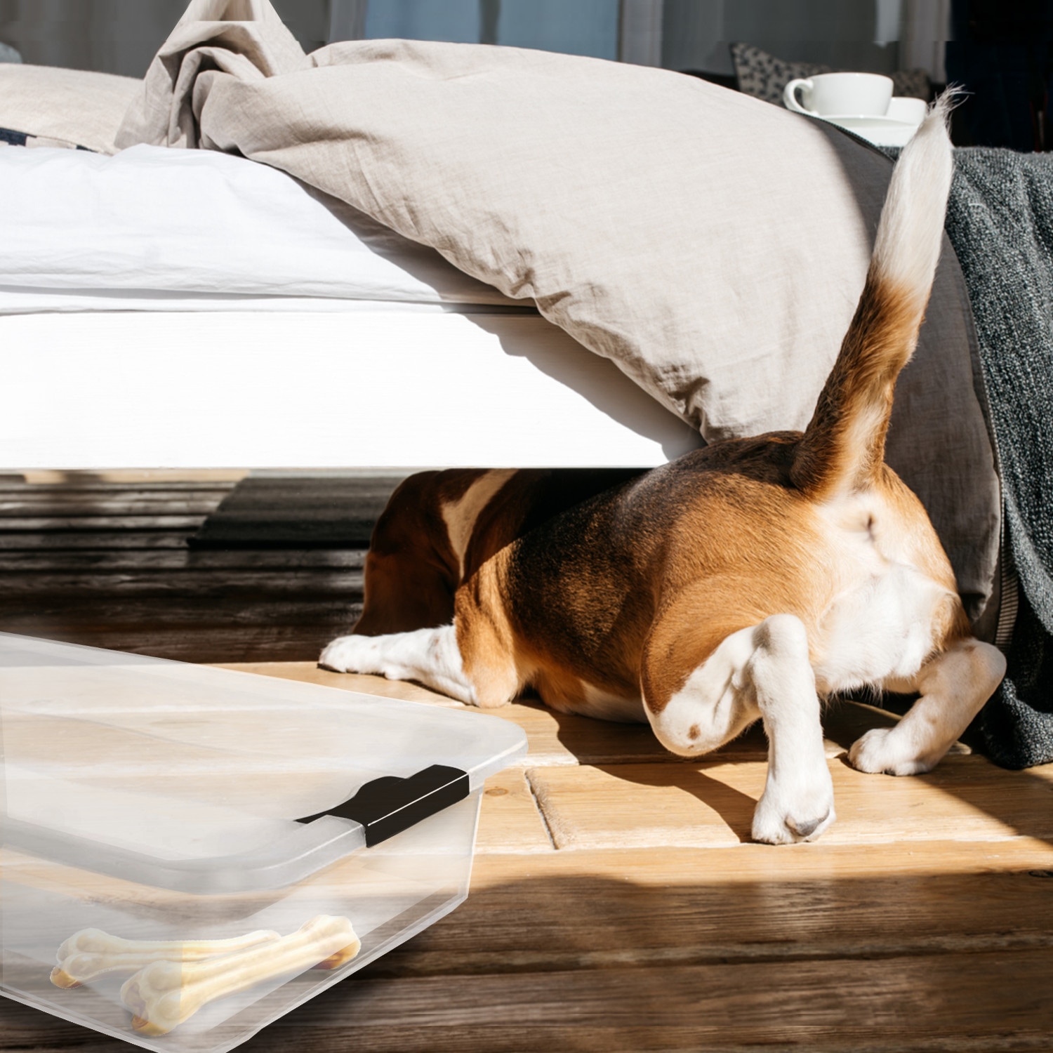 keeeper Aufbewahrungsbox »Cornelia, 4er Set,  28 L, 59,5 x 39 x 19,5 cm« durch Clips verschließbar, Griffe am Boden