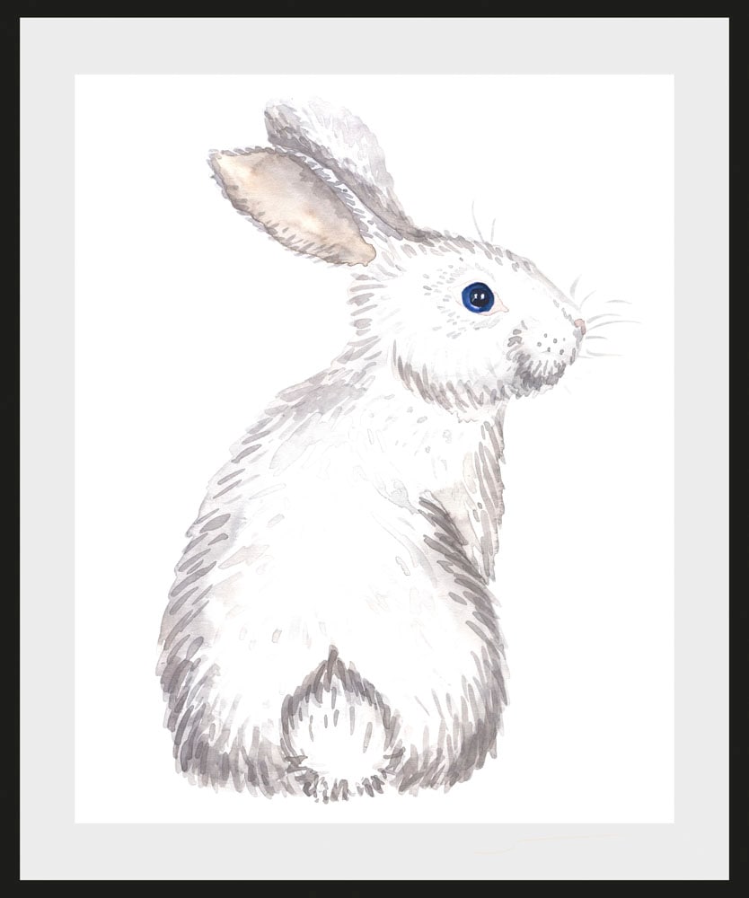 queence Bild »Afiro«, Hase, (1 St.), 50x40, mit Rahmen günstig online kaufen