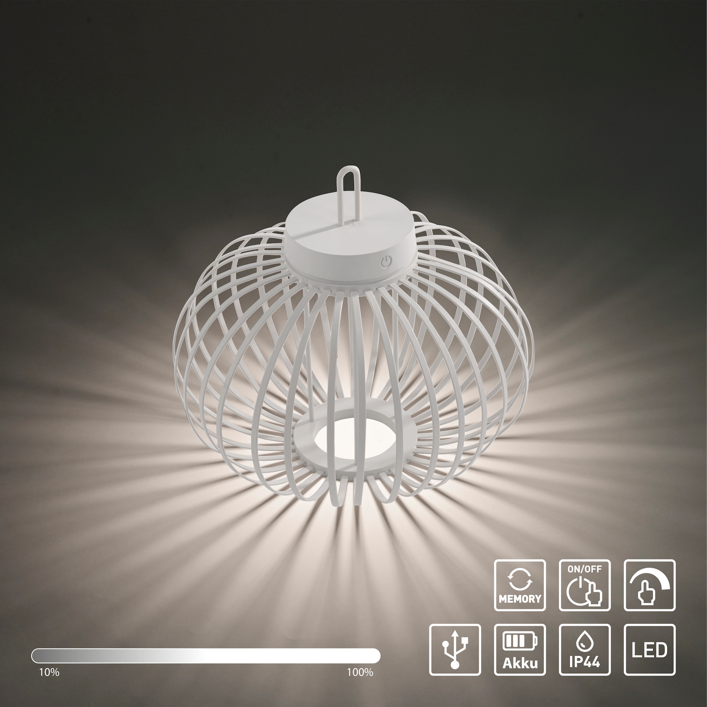 JUST LIGHT Pendelleuchte »AKUBA«, 1 flammig, Leuchtmittel LED-Modul | LED fest integriert, Akkuleuchte