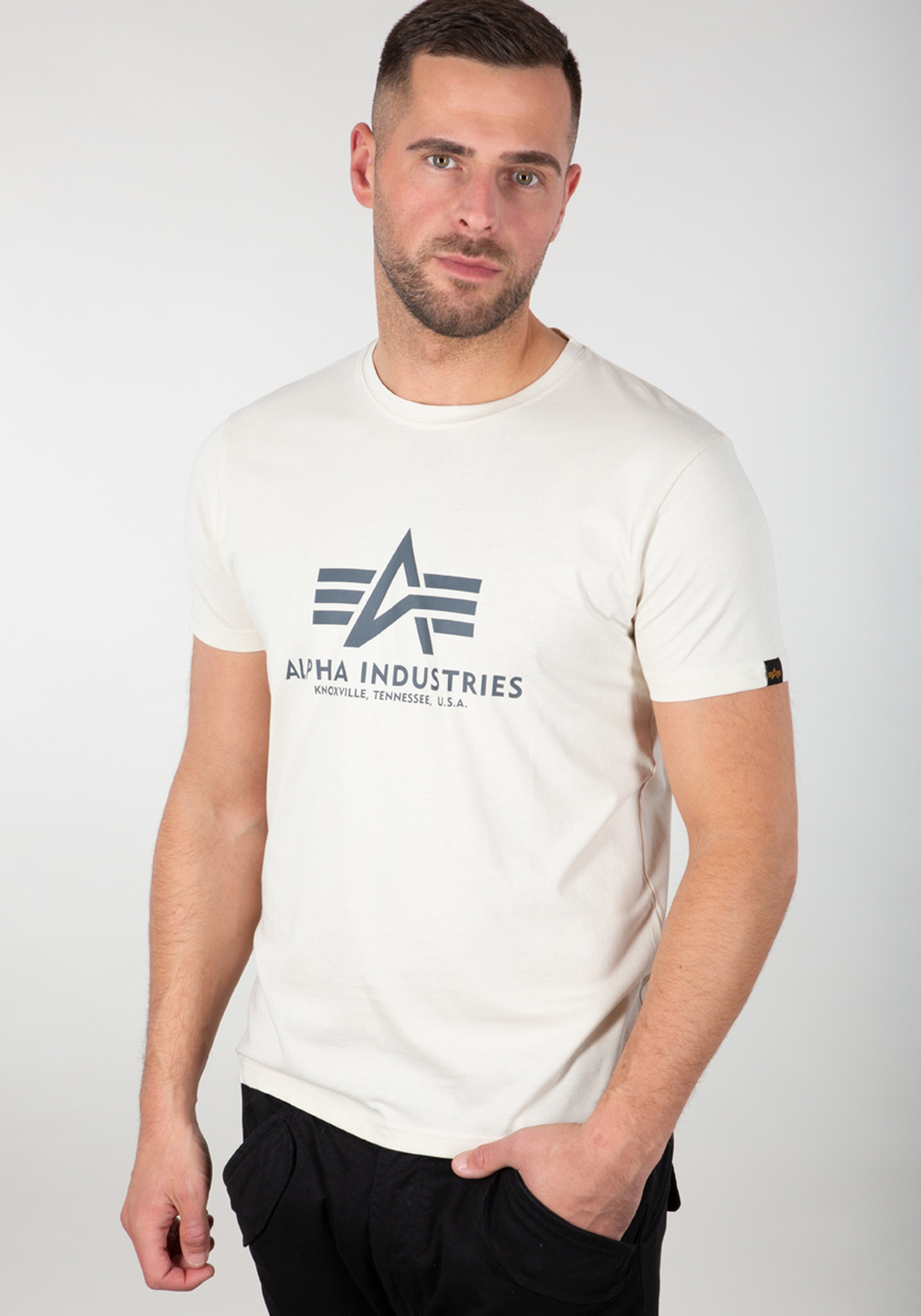 Alpha Industries T-Shirt »Alpha Industries Men - T-Shirts Basic T-Shirt«