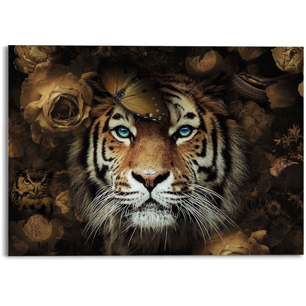Reinders! Glasbild »Glasbild Tiger Tierreich - Blumen - Herbstfarben - Blaue Augen«, Tiger, (1 St.)