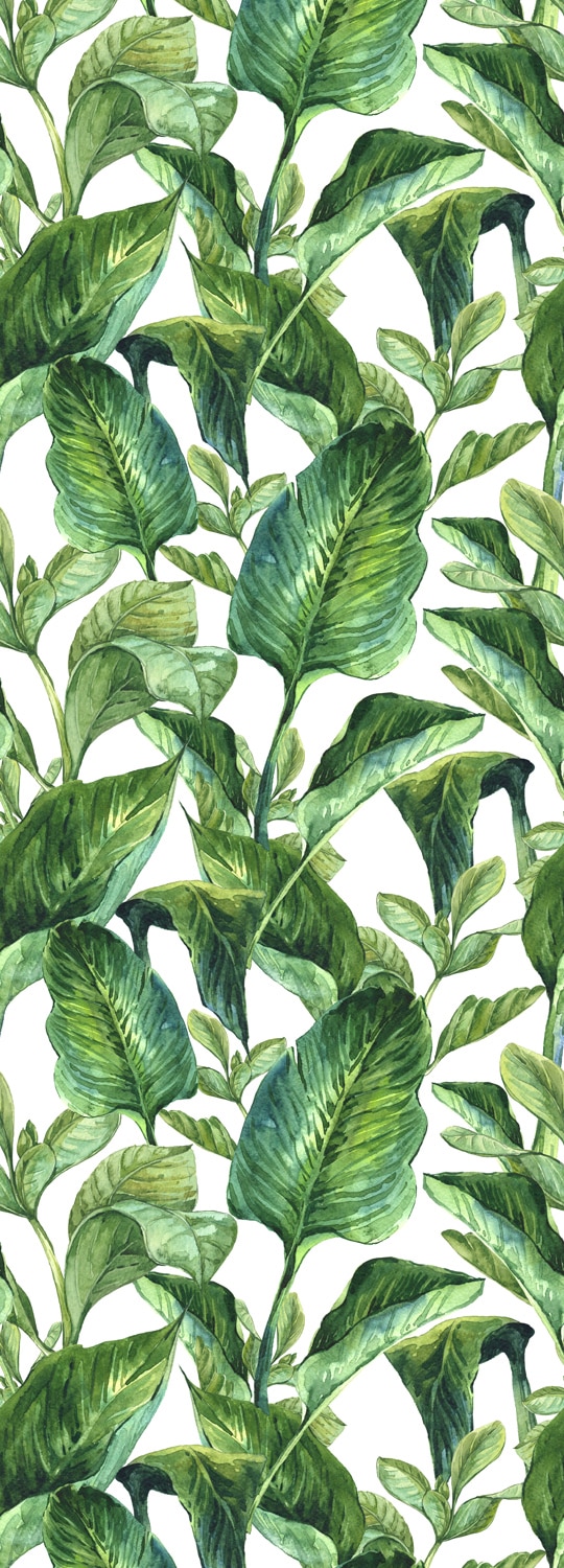 queence Vinyltapete »Green Leaves«, 90 x 250 cm, selbstklebend