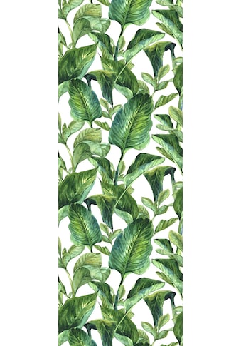 queence Vinyltapete »Green Leaves«, 90 x 250 cm, selbstklebend kaufen