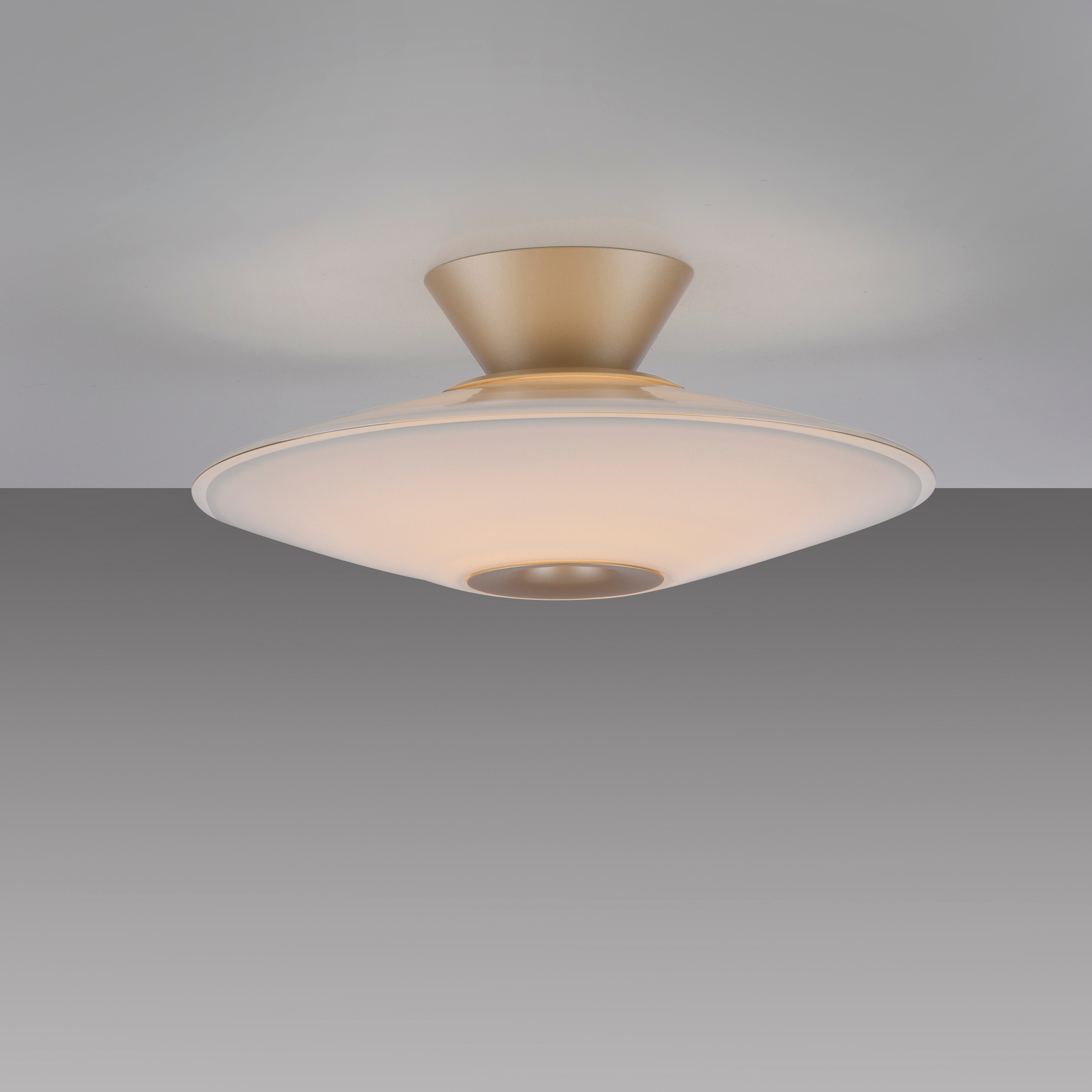 Paul Neuhaus LED Deckenleuchte »ELIPSA« LED-Board 1 Stk. Warmweiß Dimmfähig über separaten Tronicdimmer, Opalglas