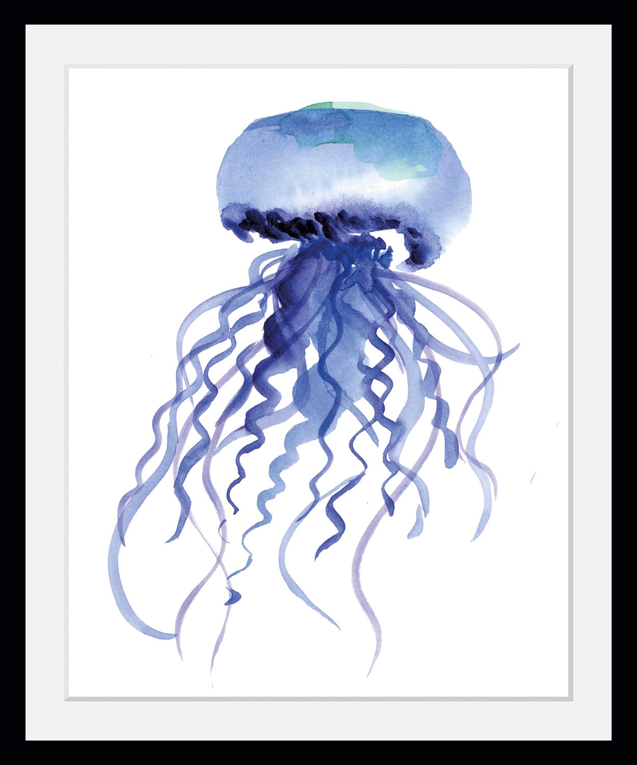 queence Bild »Selim«, Meer-Wassertiere-Kunst, (1 St.), HD Premium Poster-Druck inkl. Holzrahmen