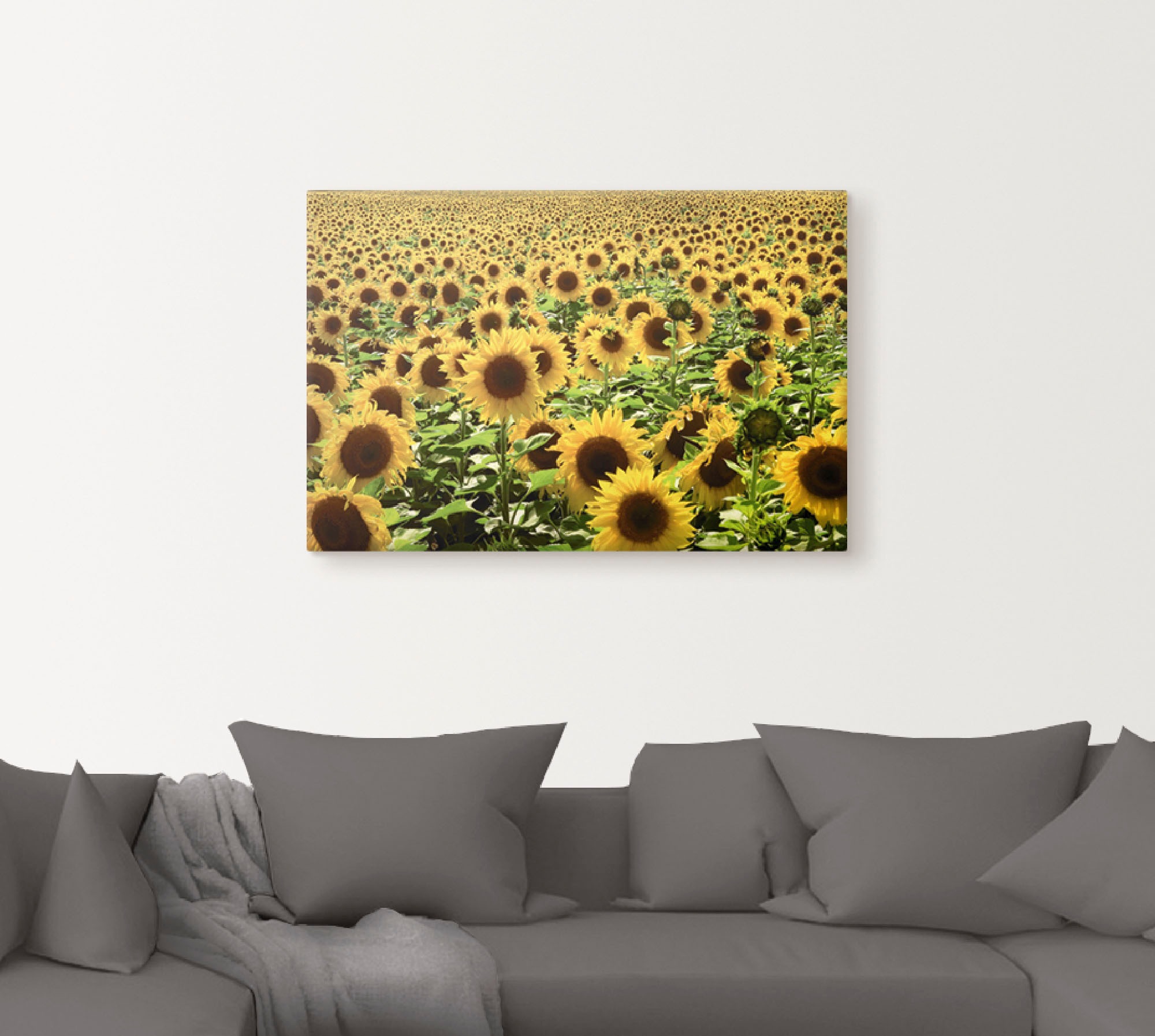 Artland Wandbild »Sonnenblumenfeld« 1 Stk. tlg. als Alubild, Outdoorbild, L günstig online kaufen