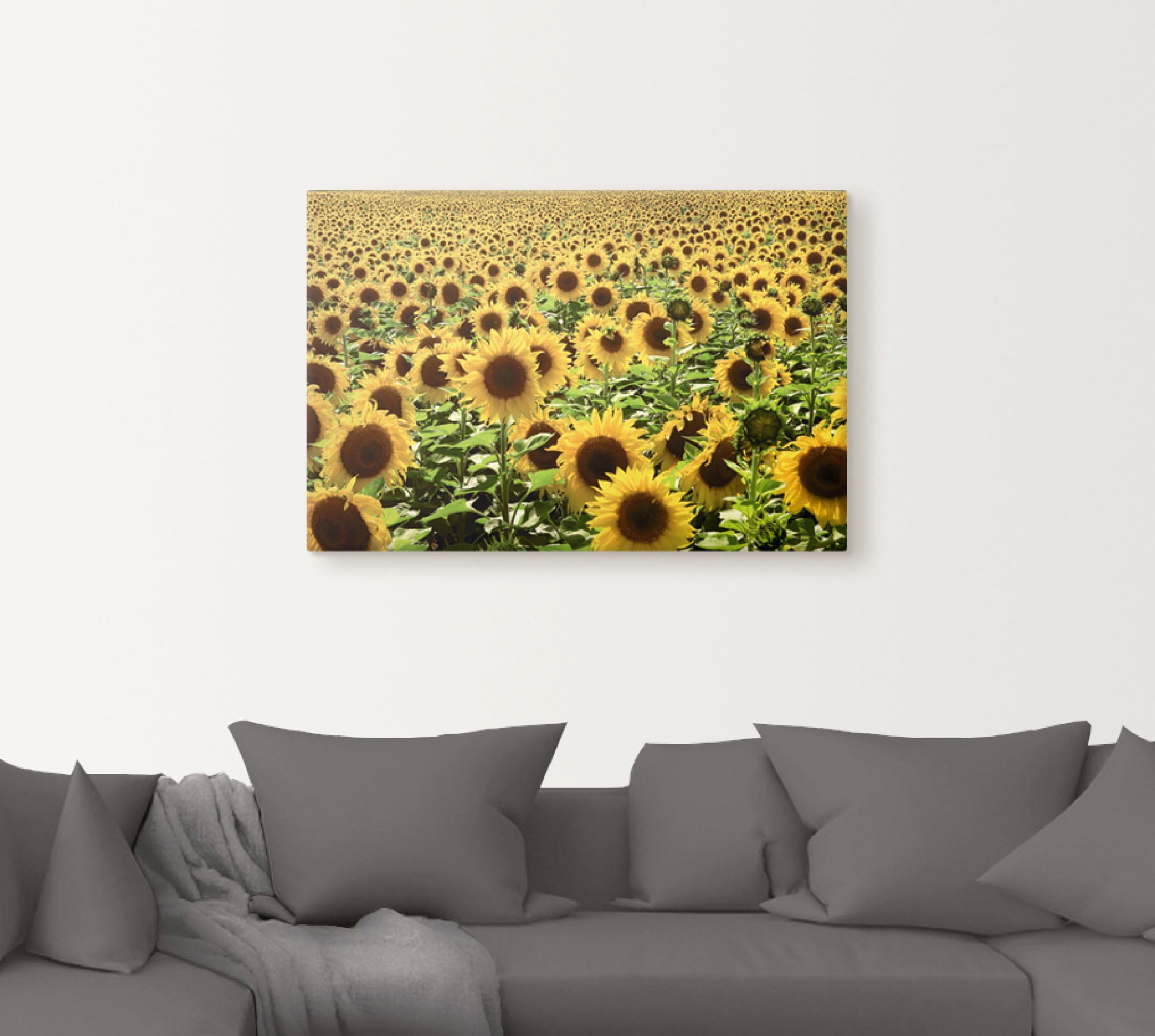 Artland Wandbild »Sonnenblumenfeld«, Blumen, (1 St.), als Alubild, Outdoorb günstig online kaufen