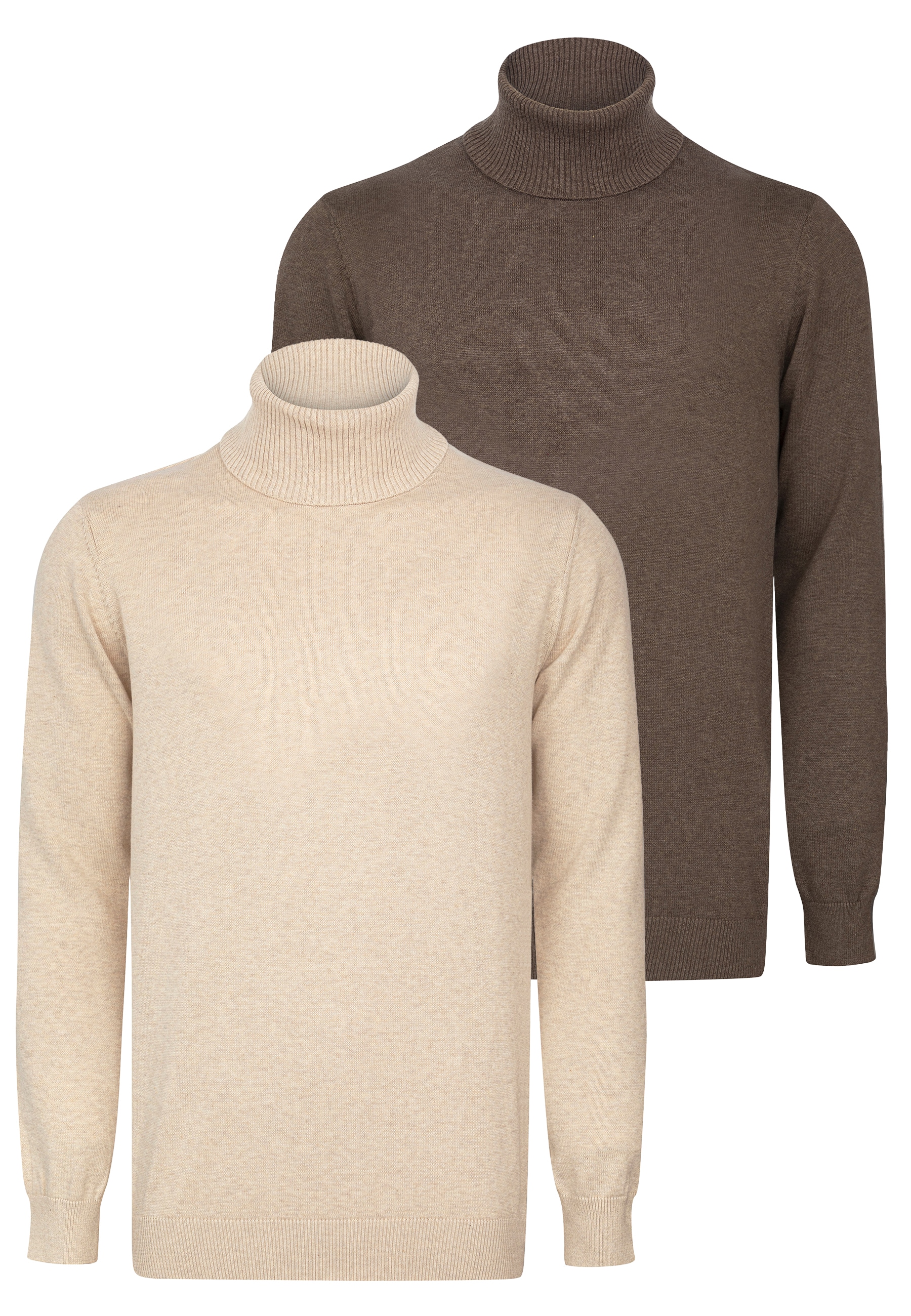 Felix Hardy Rollkragenpullover »Rollkragenpullover 2er-Pack«