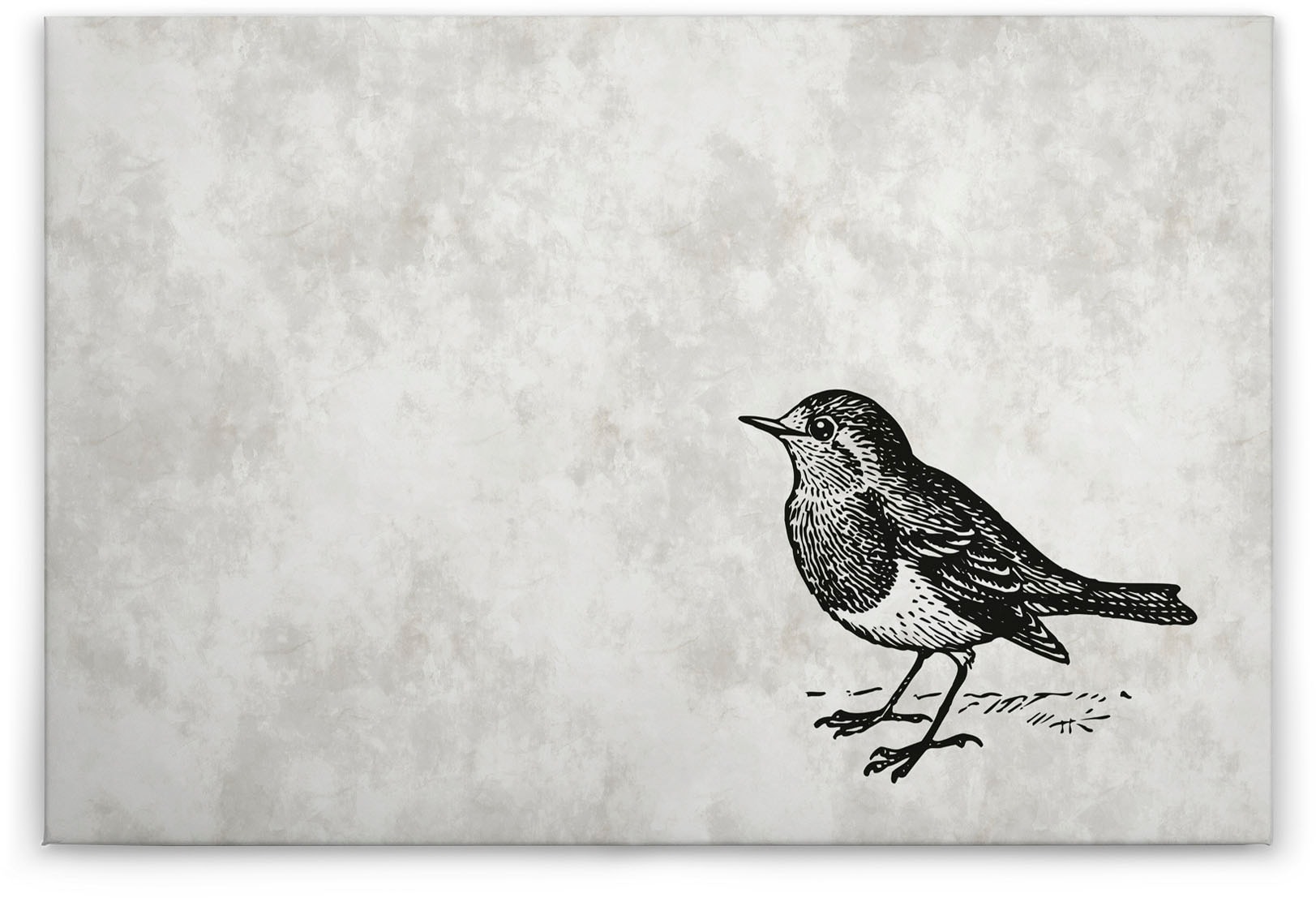 A.S. Création Leinwandbild »sketchpad 5«, Kunst-Vögel-Kinder, (1 St.), Schwarz-Weiß Zeichnung Vogel Keilrahmen Leinwand-Bild Wohnzimmer Wand