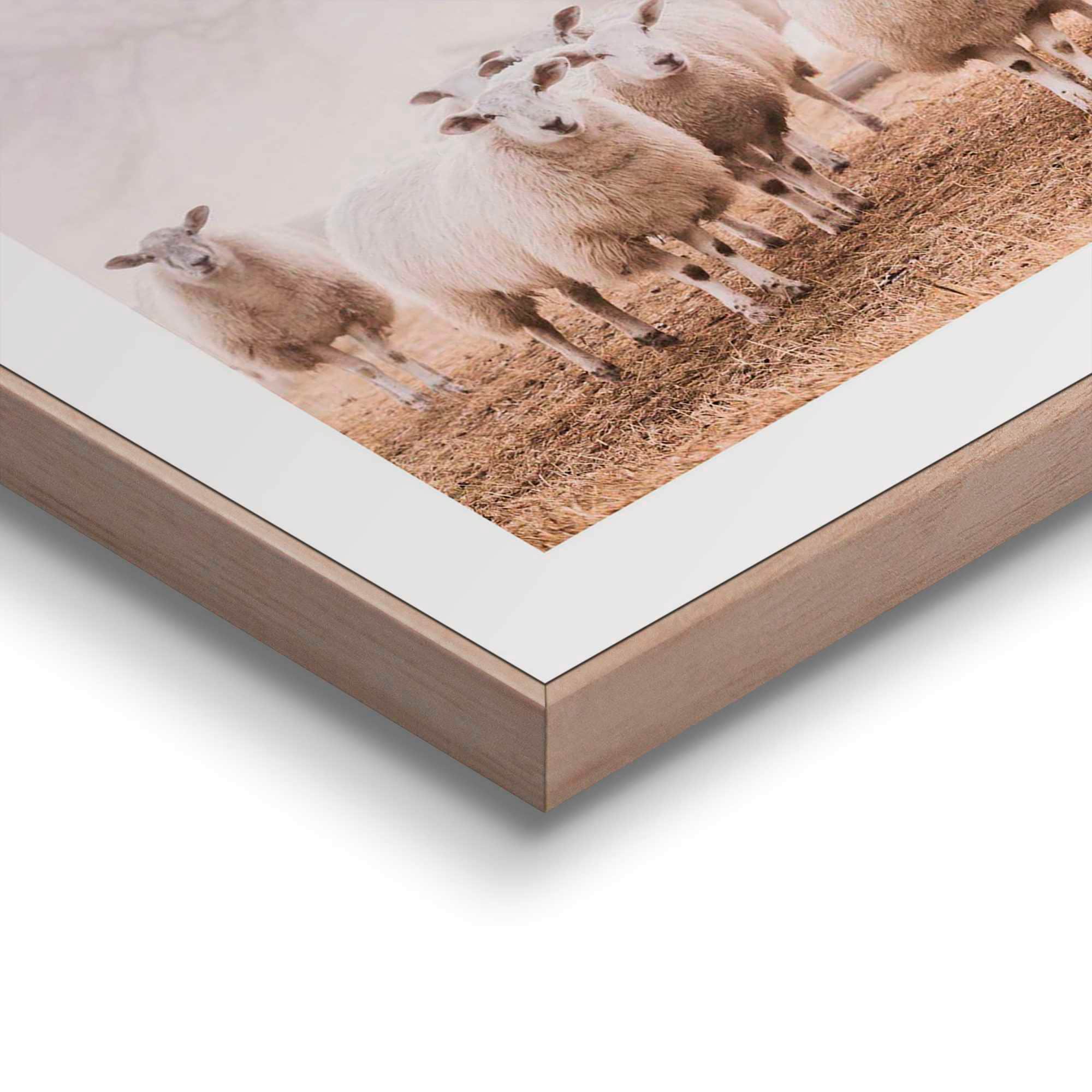 Reinders! Poster »Schafe bestellen im online Nebel«