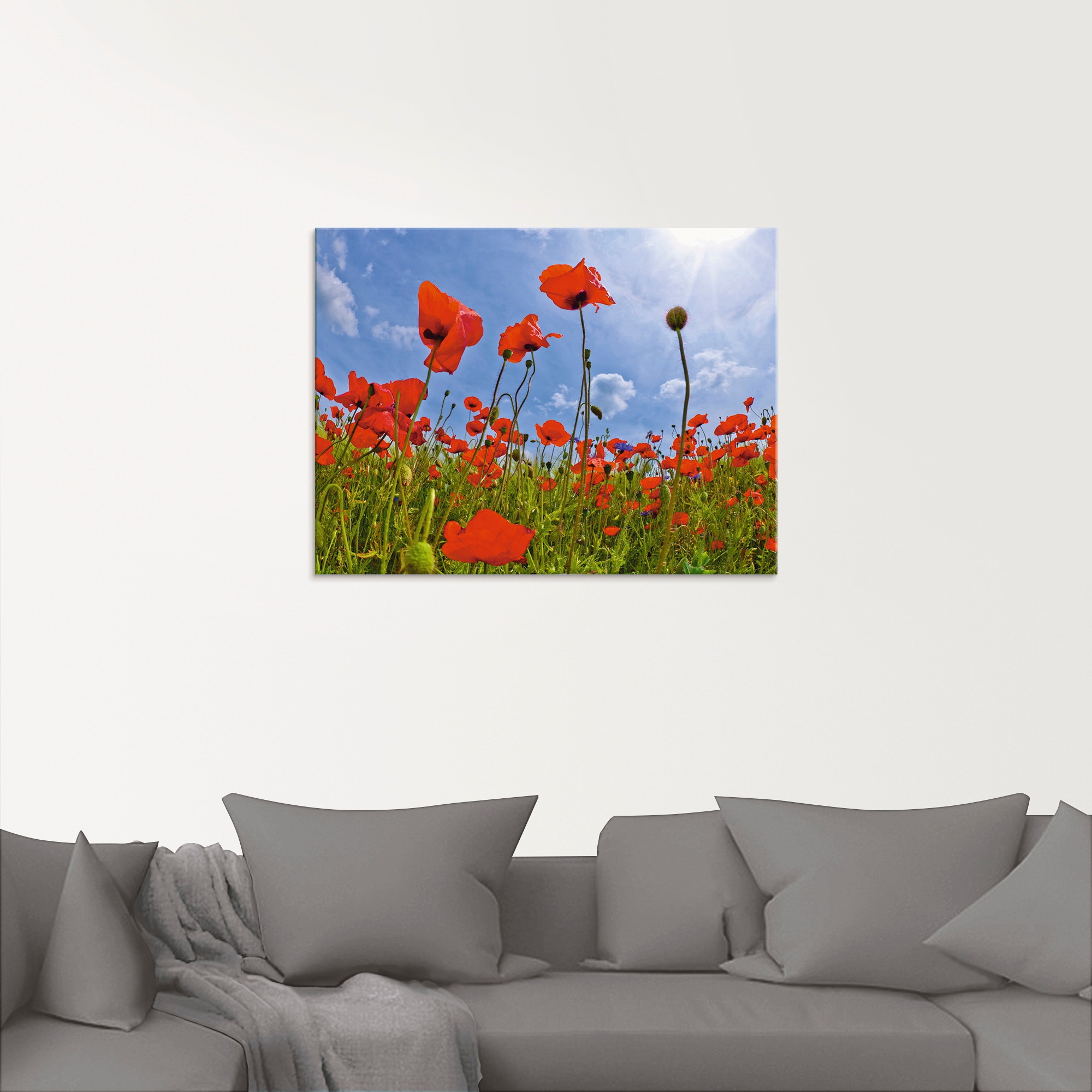 Artland Glasbild »Mohnblumenfeld« Blumen 1 Stk. tlg. in verschiedenen Größe günstig online kaufen