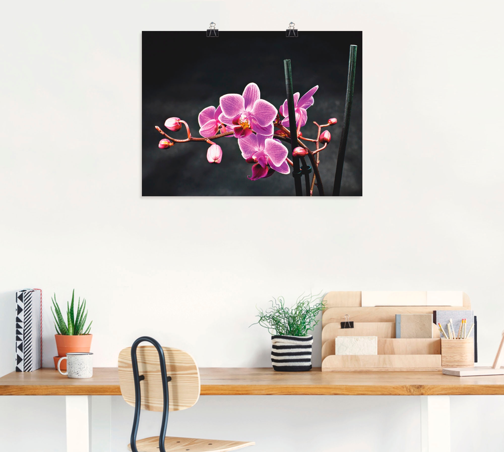 Artland Wandbild »Eine Orchidee vor schwarzem Hintergrund«, Blumen, (1 St.), als Leinwandbild, Poster, Wandaufkleber in verschied. Größen