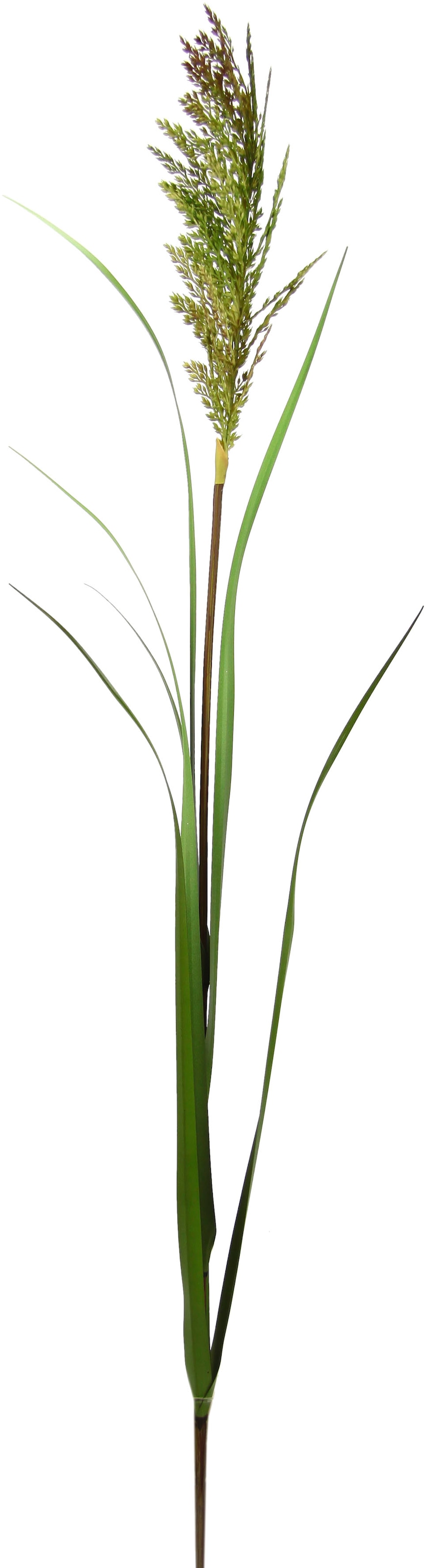 I.GE.A. Kunstpflanze »Gras«, Dekozweig, 3er Set