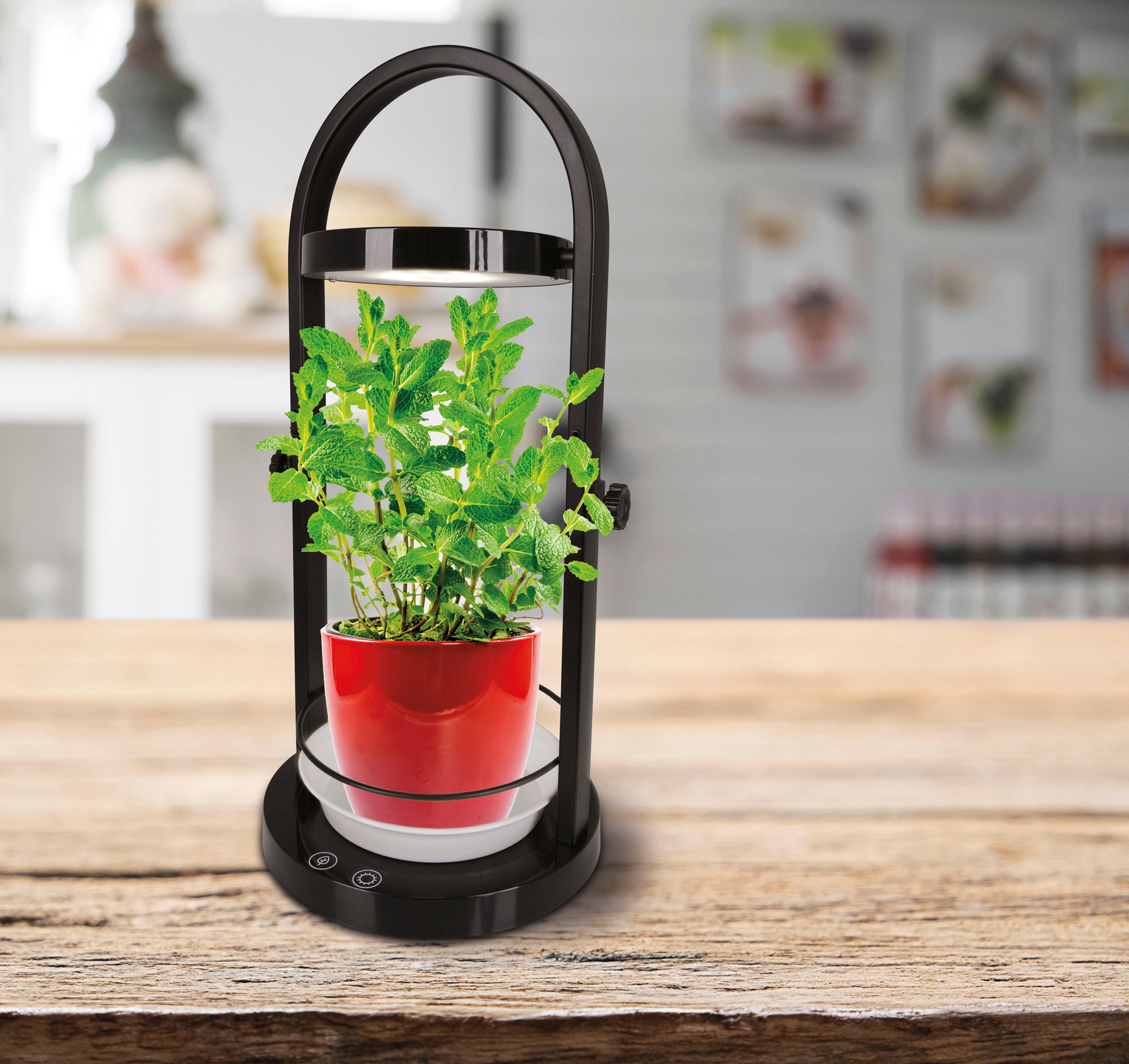 näve LED Tischleuchte »Grow Light«, 1 flammig, Wachstumsleuchte, USB-Kabel, höhenverstellbar, schwarz