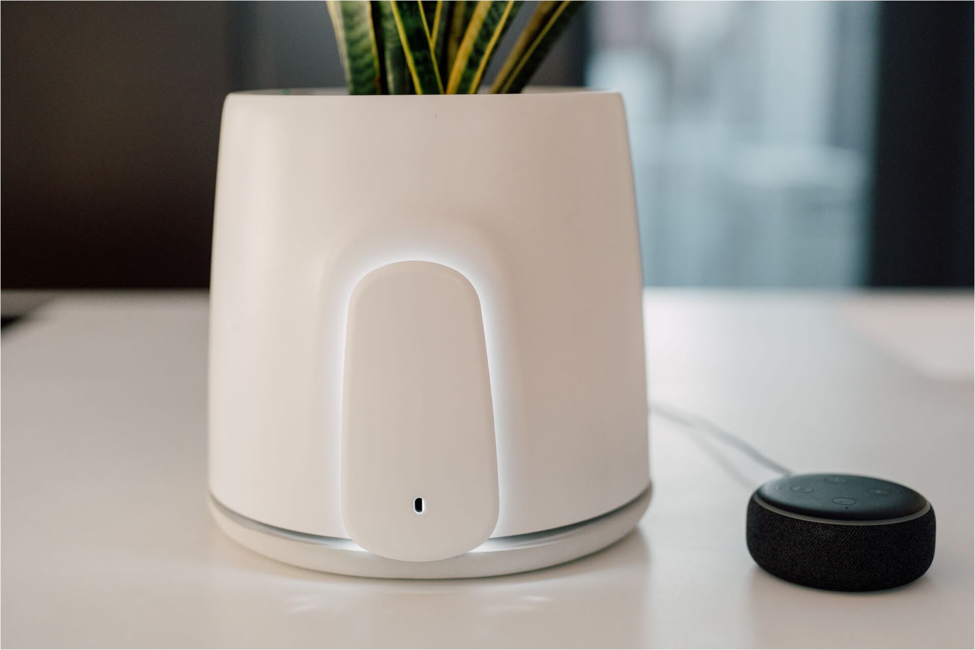 Vitesy Luftreiniger »Natede Smart – Smarte Luftreinigung und stilvoller Blumentopf«, für 20 m² Räume, Waschbarer Filter, App-Steuerung, Selbstbewässerung Blumentopf