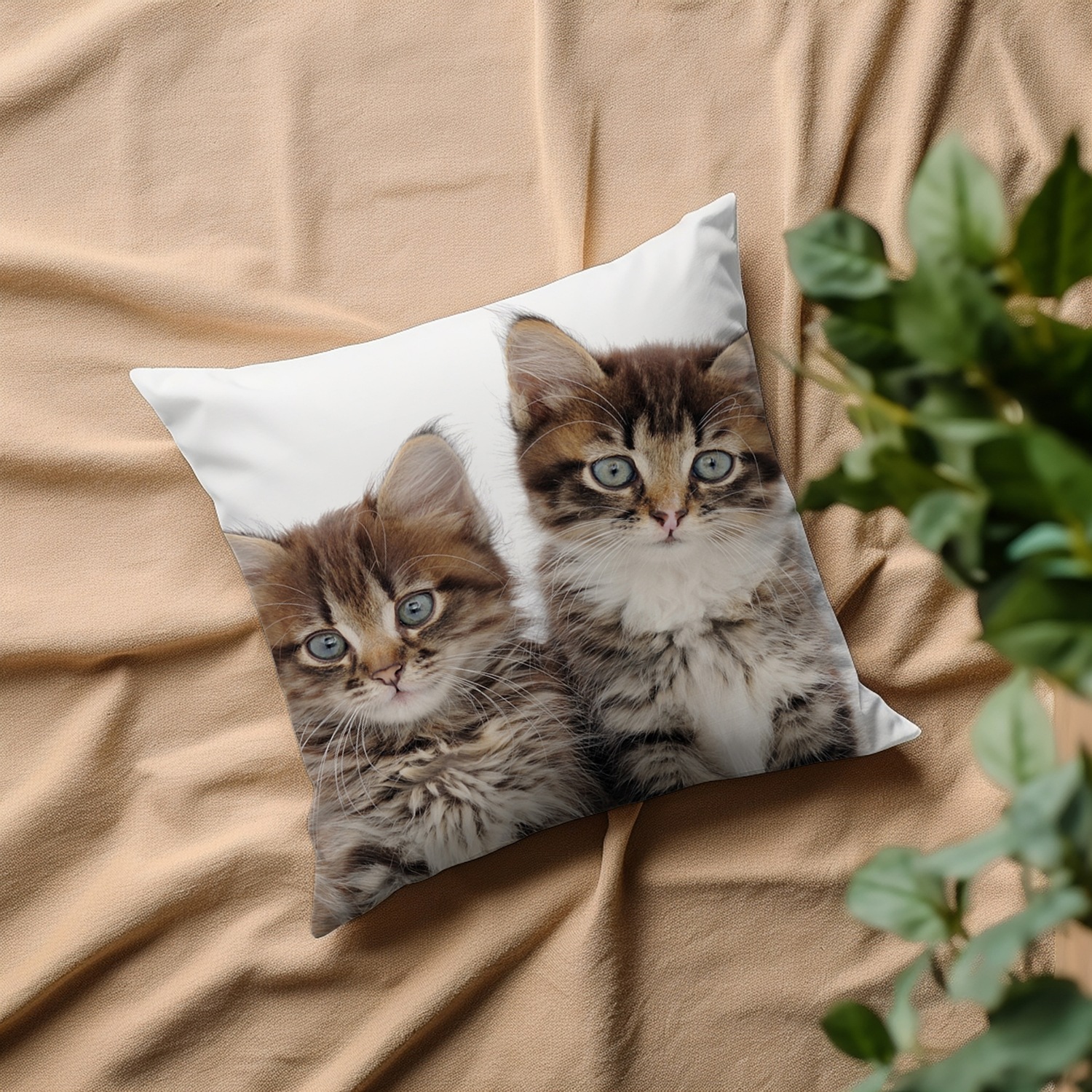 queence Dekokissen »Patrick«, Kissenhülle,Katzen,Tiermotiv,Niedlich,Verspie günstig online kaufen