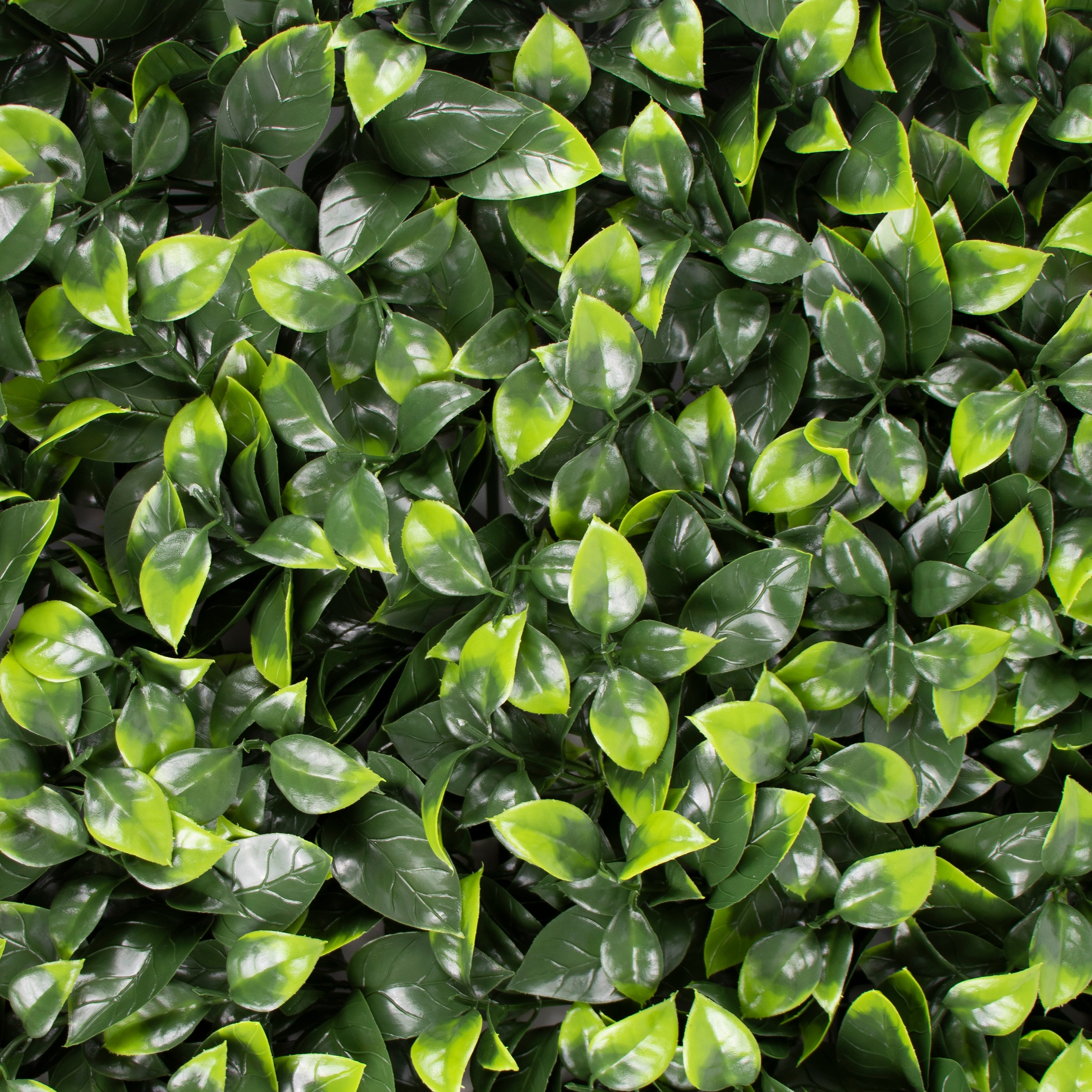 Primaflor-Ideen in Textil Kunstpflanze »Pflanzenwand, 50x50cm« Wanddeko, realistische Optik, In- und Outdoor geeignet, UV-beständig