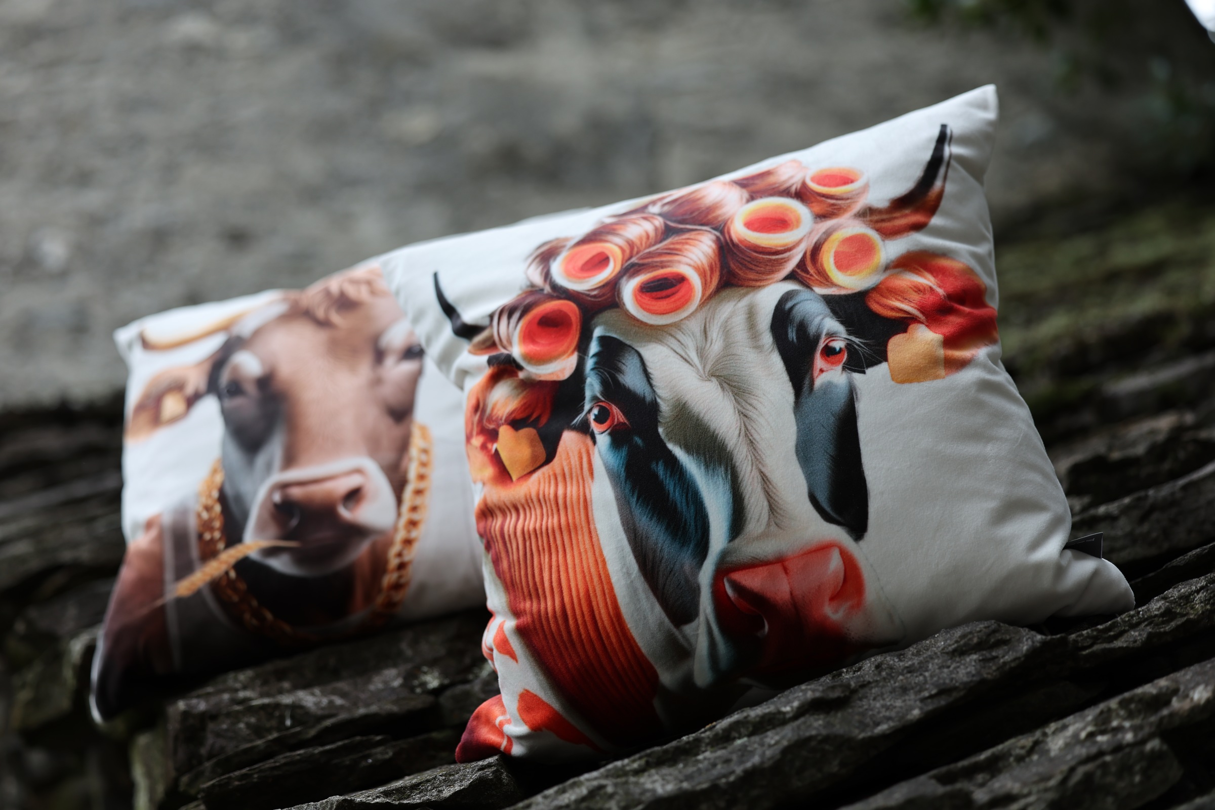 PAD Dekokissen »Farm«, Made in Europe, Kissenhülle ohne Füllung, 1 Stück günstig online kaufen