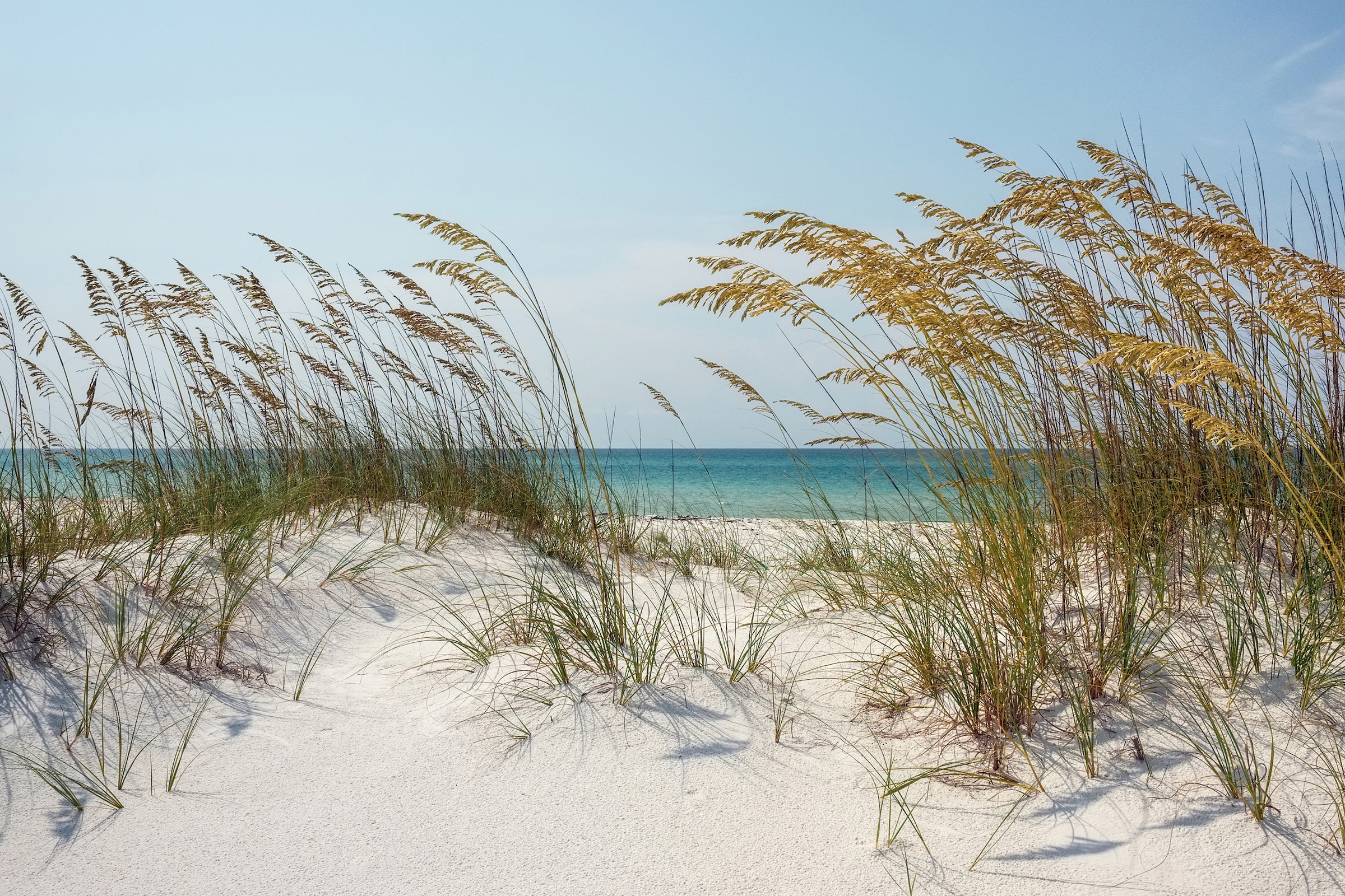 Papermoon Fototapete »DÜNEN-MEER SEE KÜSTE NORDSEE OSTSEE STRAND SYLT BAUM« günstig online kaufen