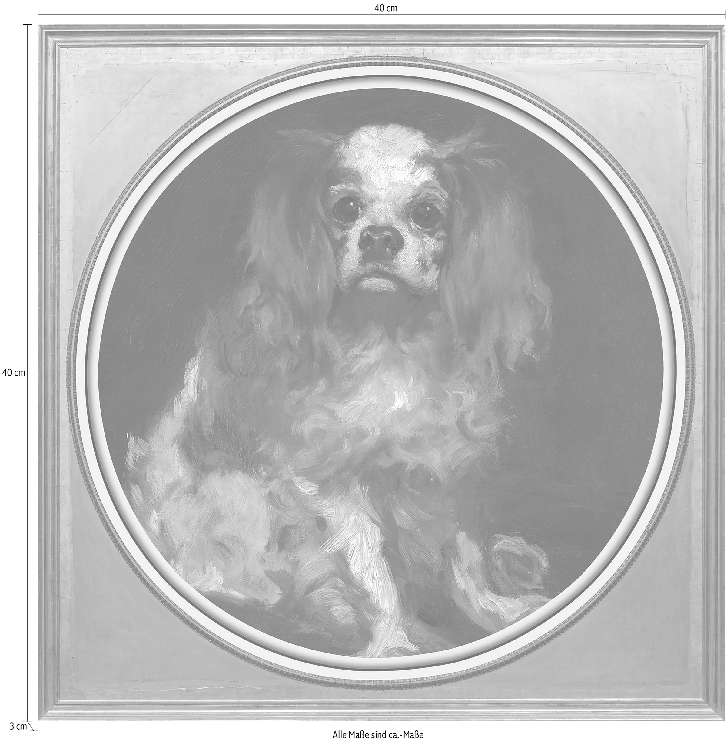 queence Acrylglasbild »Spaniel«, Kunst-Gemälde-Tiere-Hund-Hunde-Hundebilder, Fine Art-Print in Galeriequalität