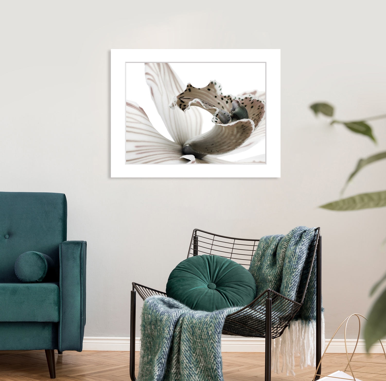 queence Bild »Herkules«, Blumen-Blumenbilder-Pflanzenbilder-Foto-Kunst, HD günstig online kaufen