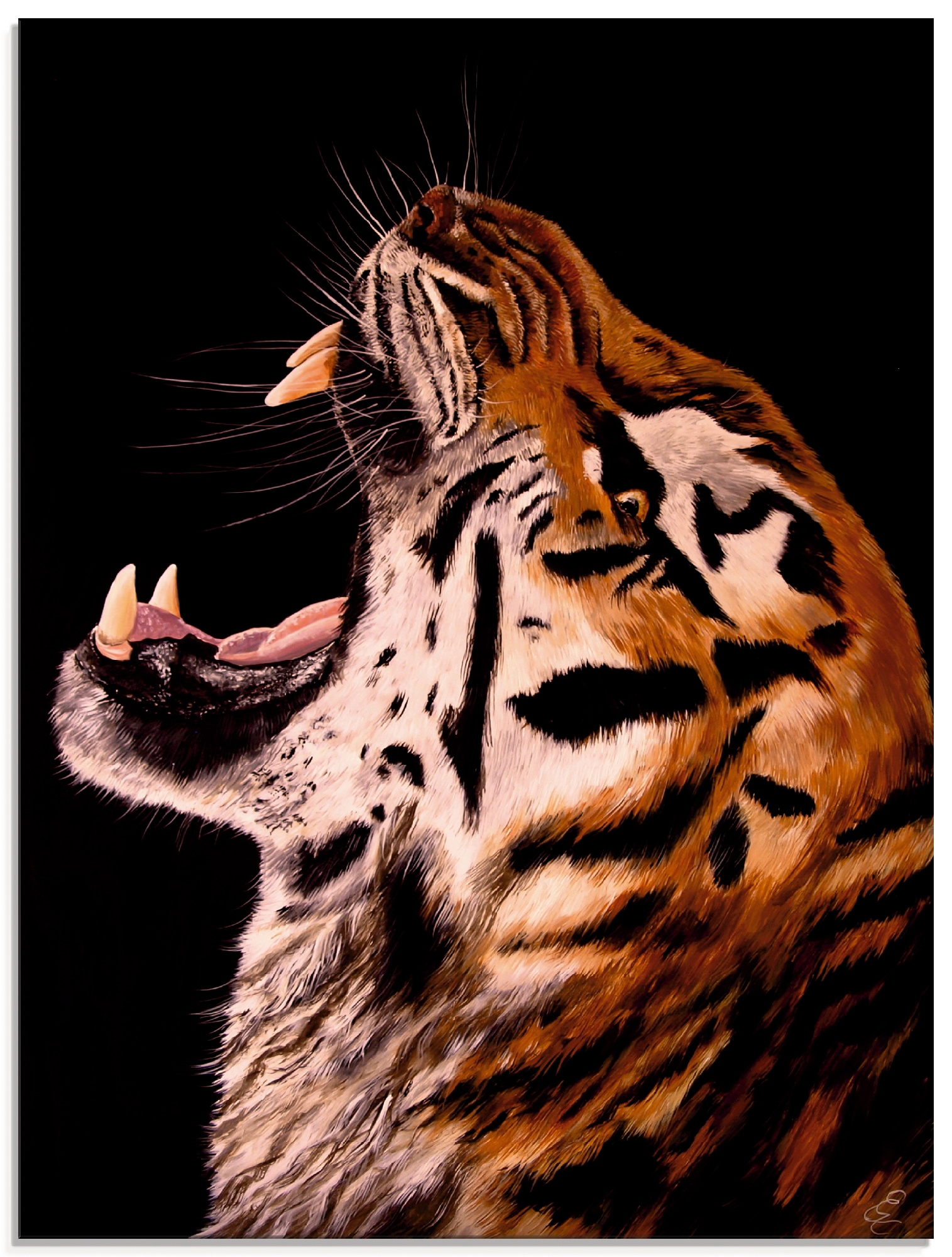 St.), auf Rechnung (1 Wildtiere, Artland verschiedenen »Tiger«, in Größen kaufen Glasbild