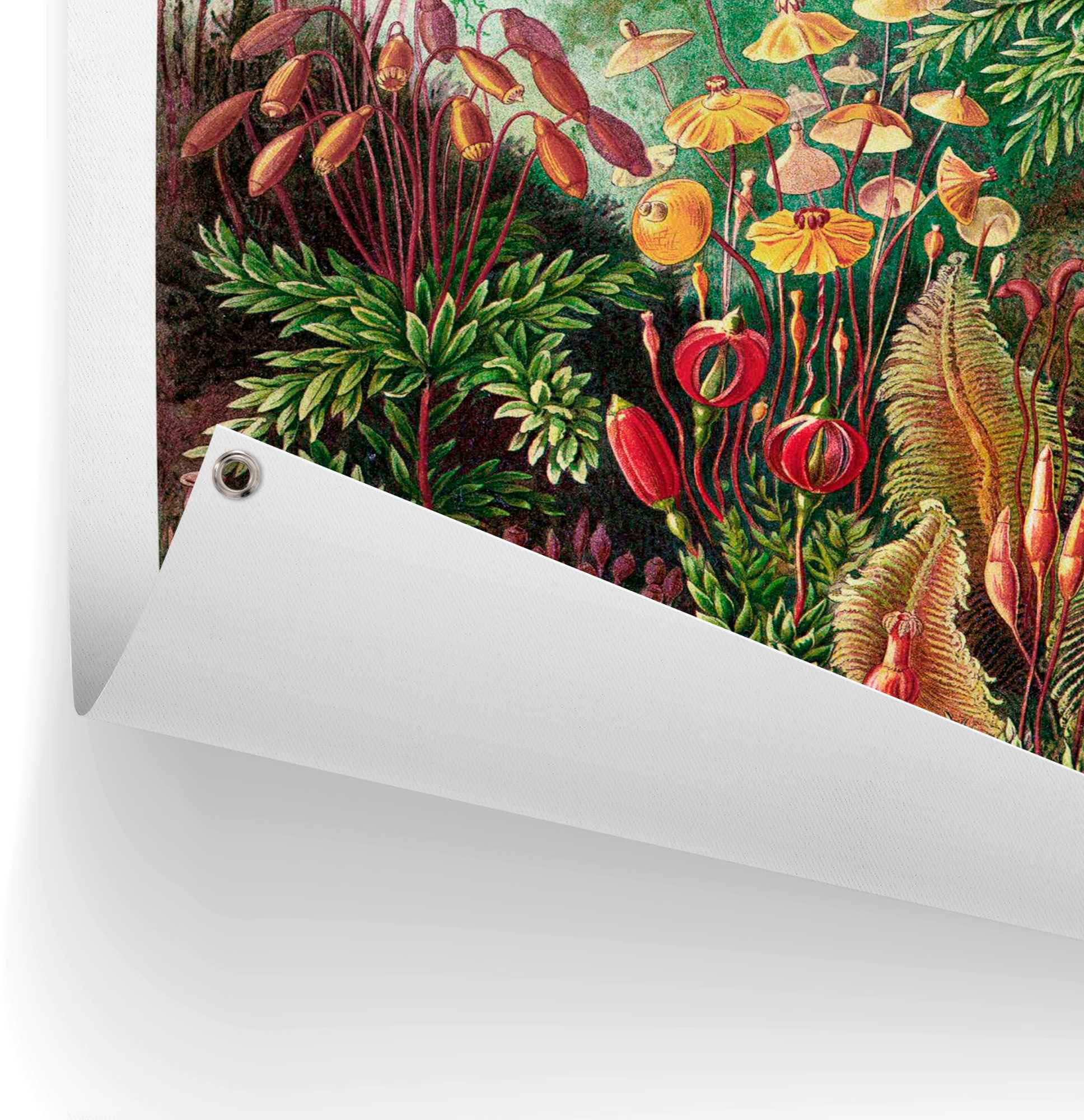 Reinders! Poster »Sea Flora«