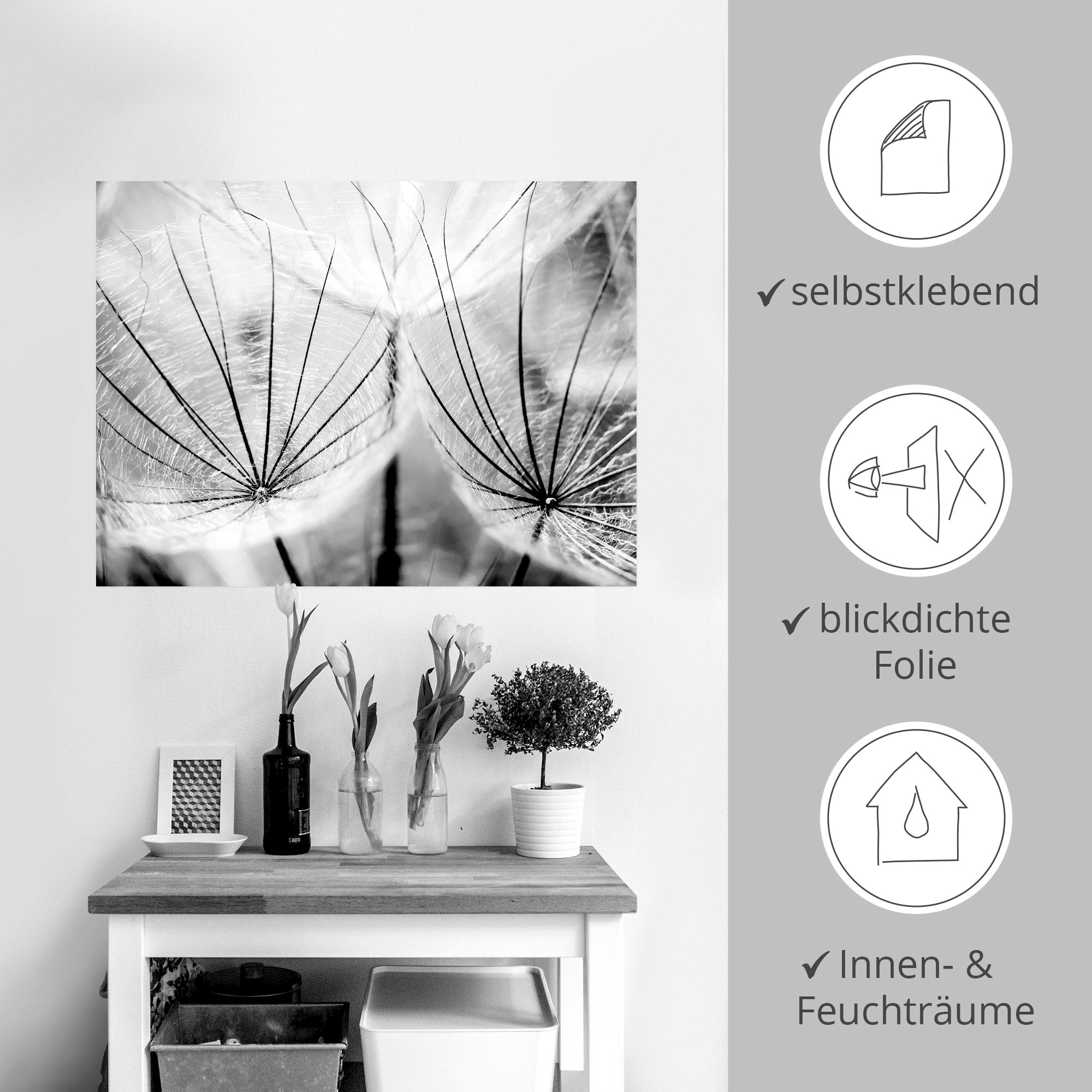 Artland Wandbild »Pusteblume in schwarzweiß«, Blumen, (1 St.), als Alubild, Outdoorbild, Leinwandbild, Poster, Wandaufkleber
