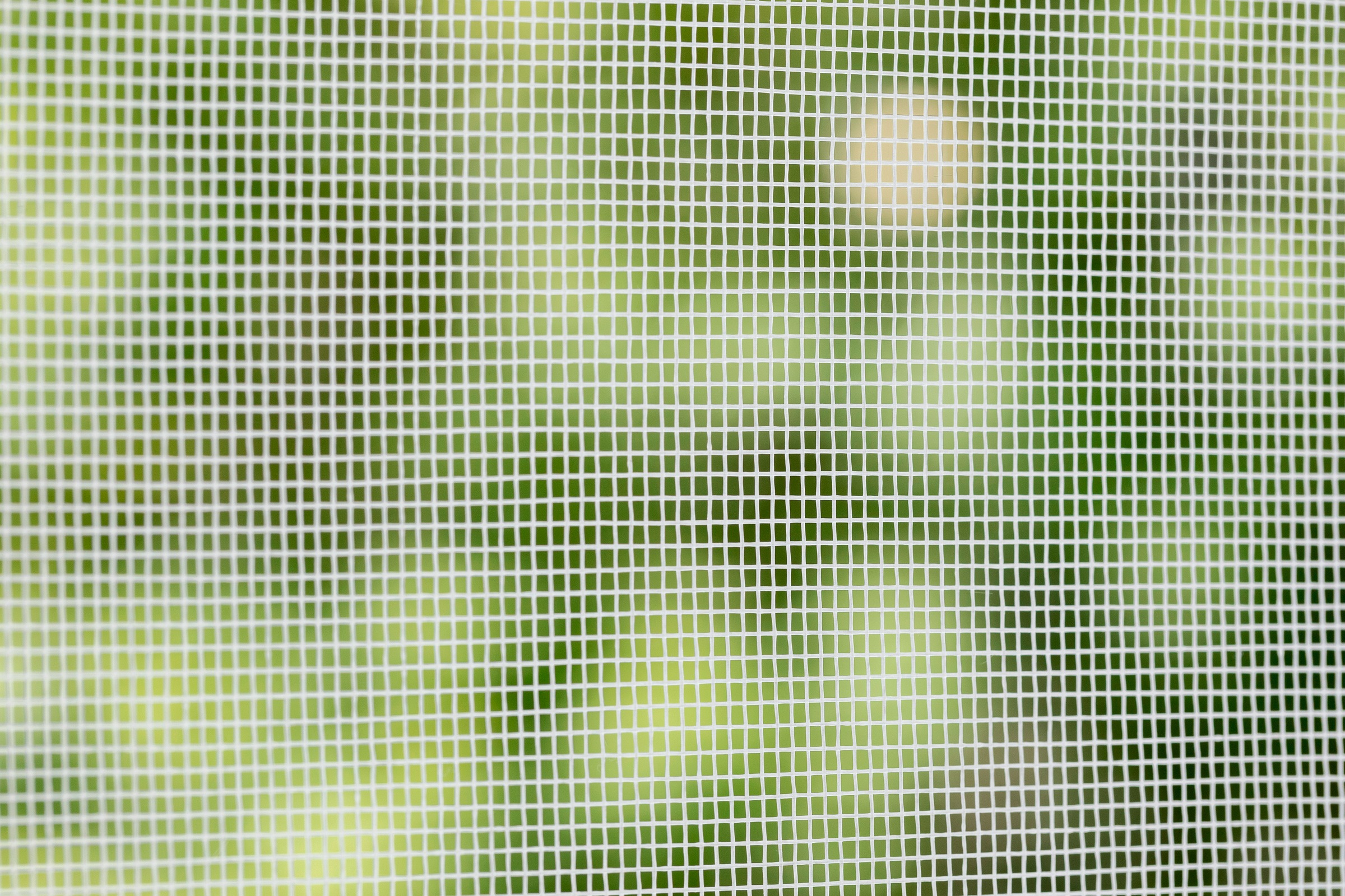 SCHELLENBERG Fliegengitter-Gewebe »aus Fiberglas in anthrazit und weiß«, Insektenschutz Rolle für Fenster und Tür, verschiedene Maße