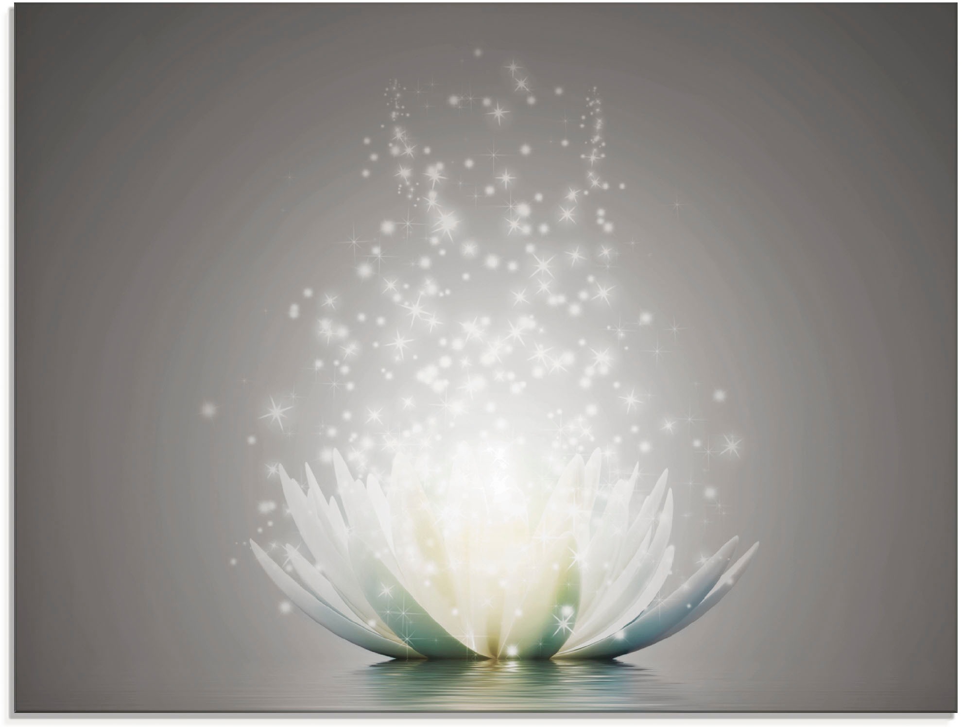 Artland Glasbild »Magie der Lotus-Blume«, Blumen, (1 St.), in verschiedenen Größen