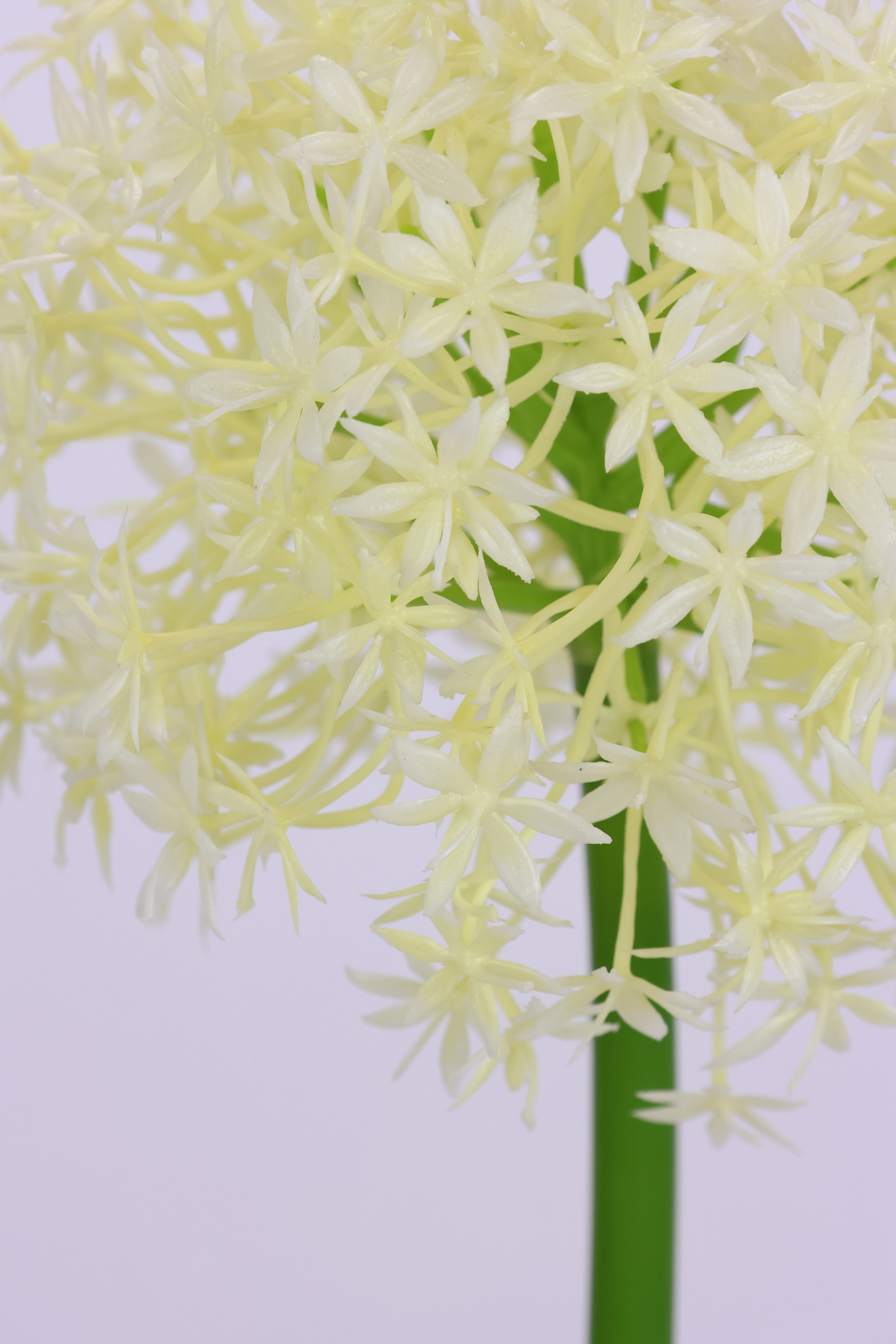 I.GE.A. Kunstblume »Allium Zierlauch«, Stielblume künstliche Blumen, 2er Set