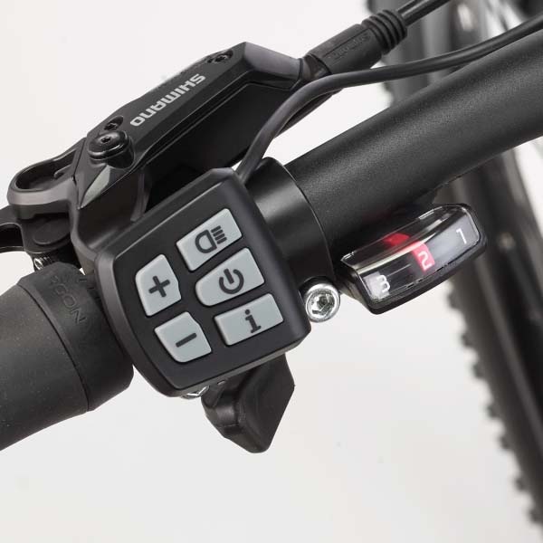 FISCHER Fahrrad E-Bike »MONTIS EM 1726 557«, 10 Gang, Pedelec, Elektrofahrrad für Damen u. Herren, MTB