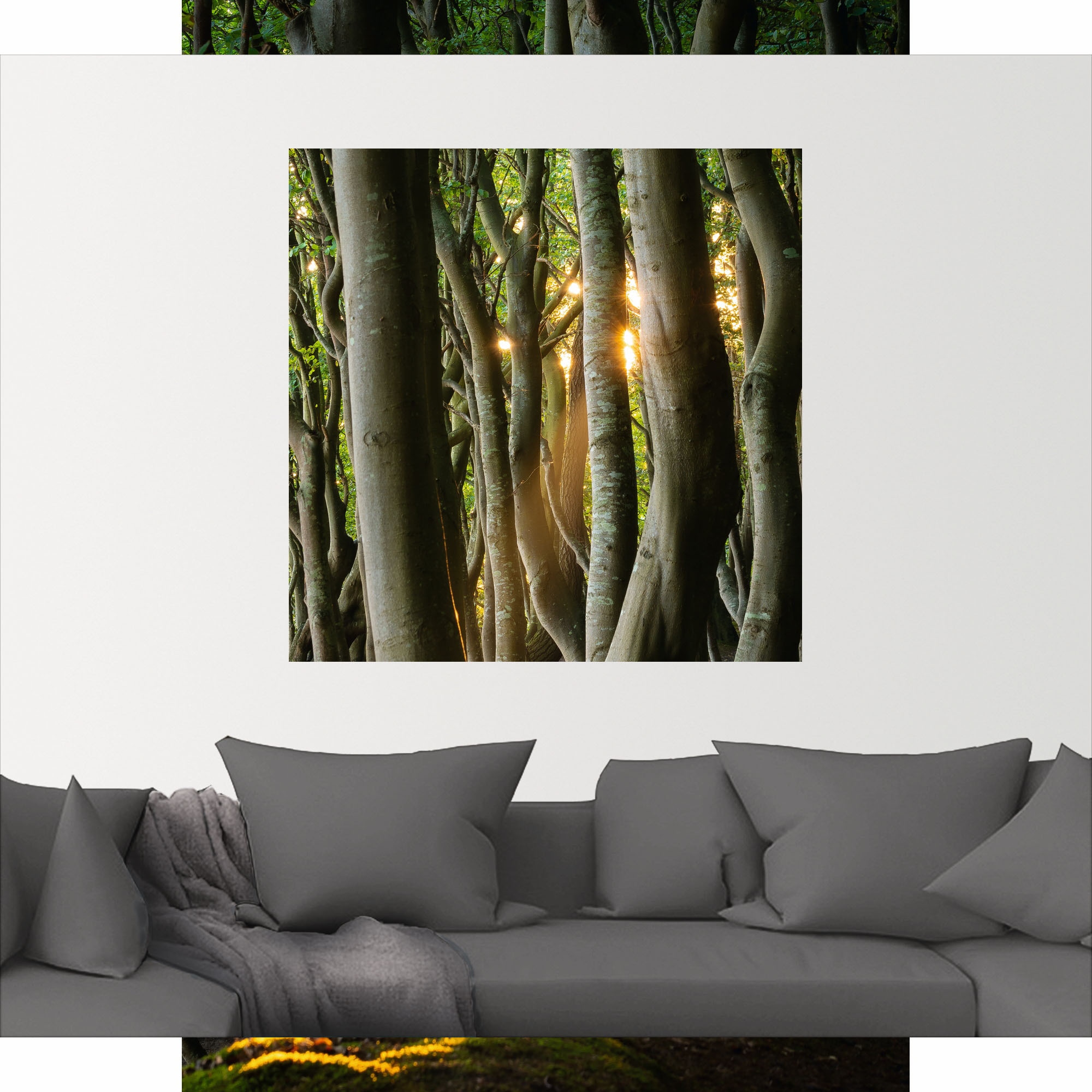 Artland Wandbild »Licht im Märchenwald«, Waldbilder, (1 St.), als Alubild, Leinwandbild, Wandaufkleber oder Poster in versch. Größen