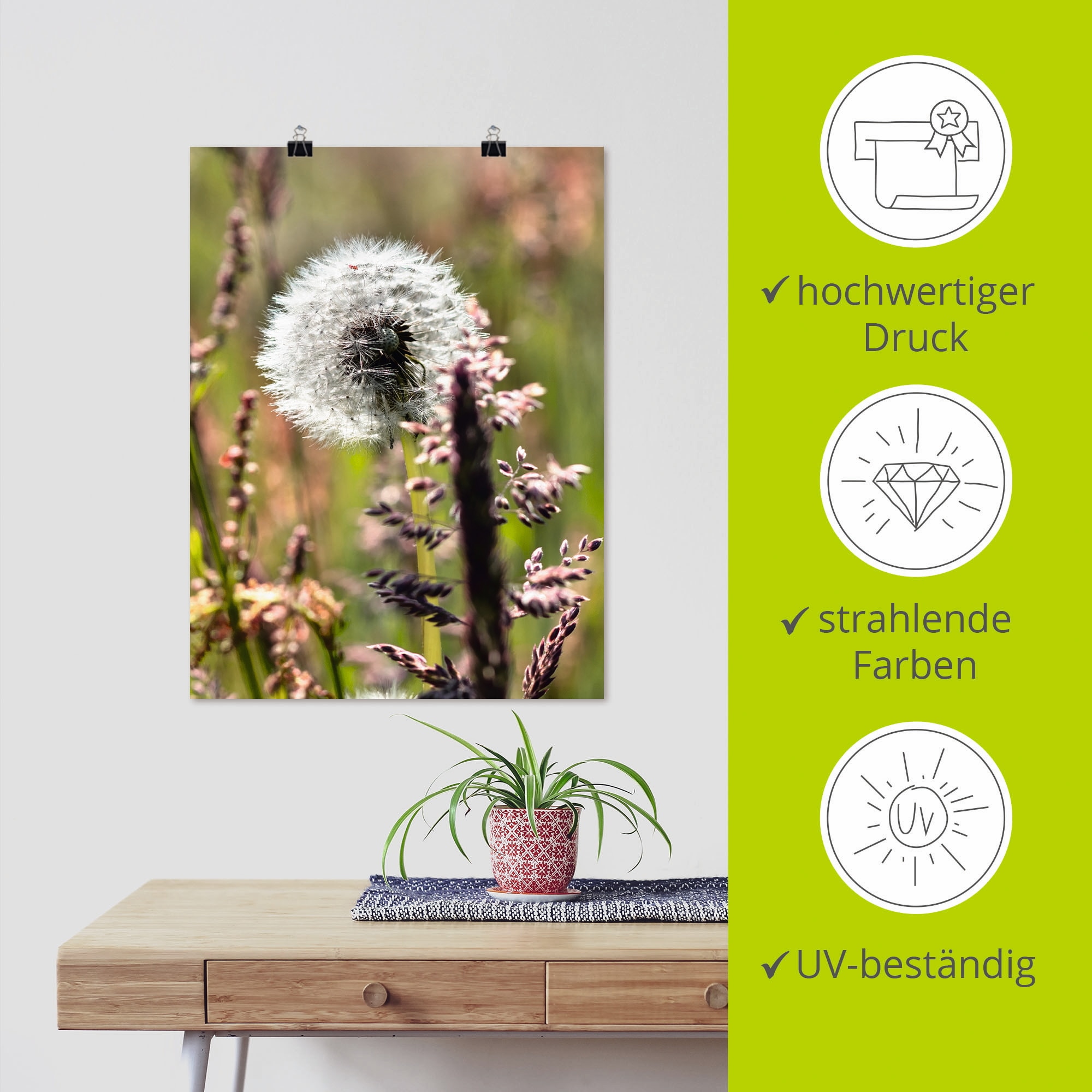 Artland Wandbild »Pusteblume III«, Blumen, (1 St.), als Leinwandbild, Poster in verschied. Größen
