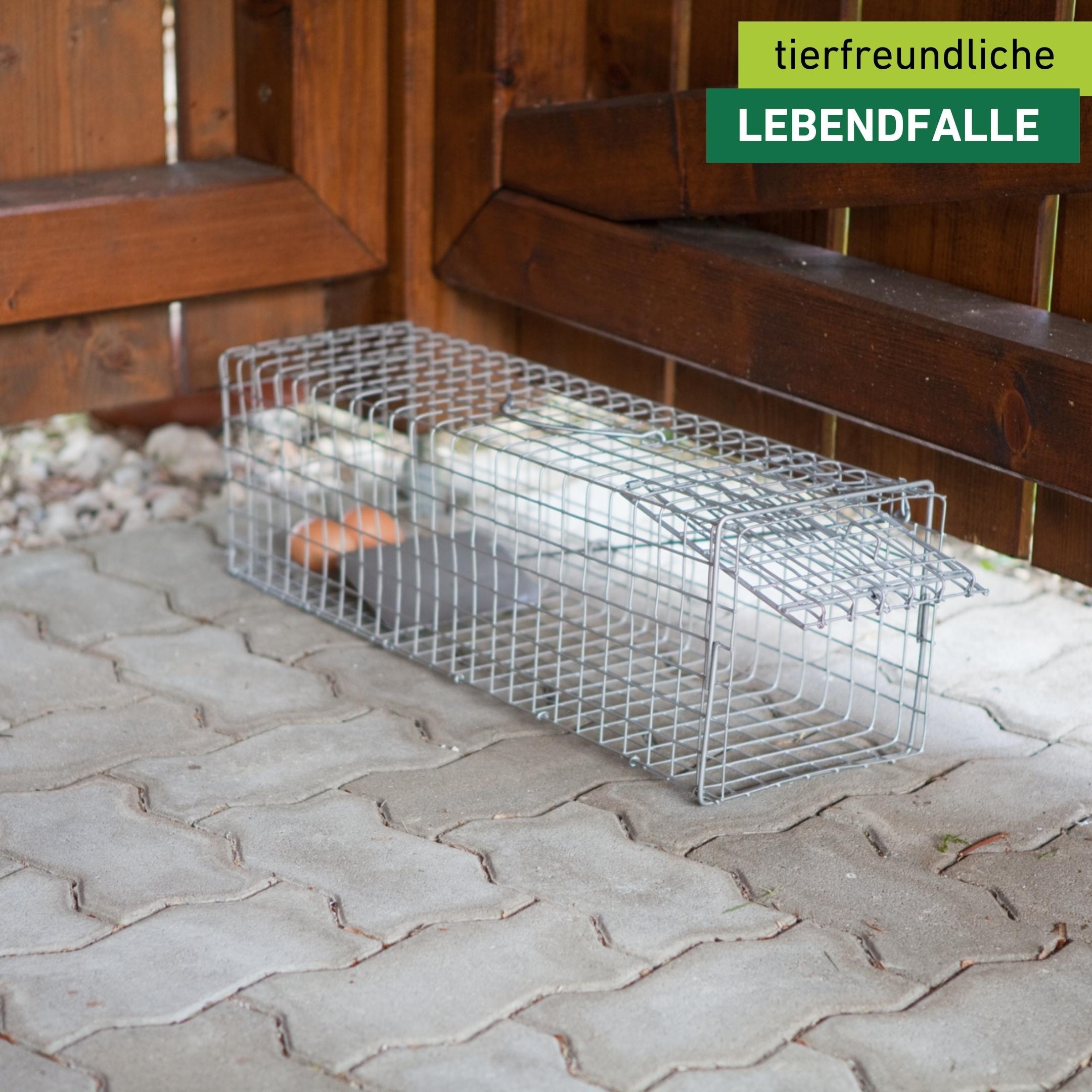 Windhager Schlagfalle »Drahtkasten Marderfalle 60 x 18 x 20 cm« wetterfeste und robuste Lebendfalle für Marder, verzinkt